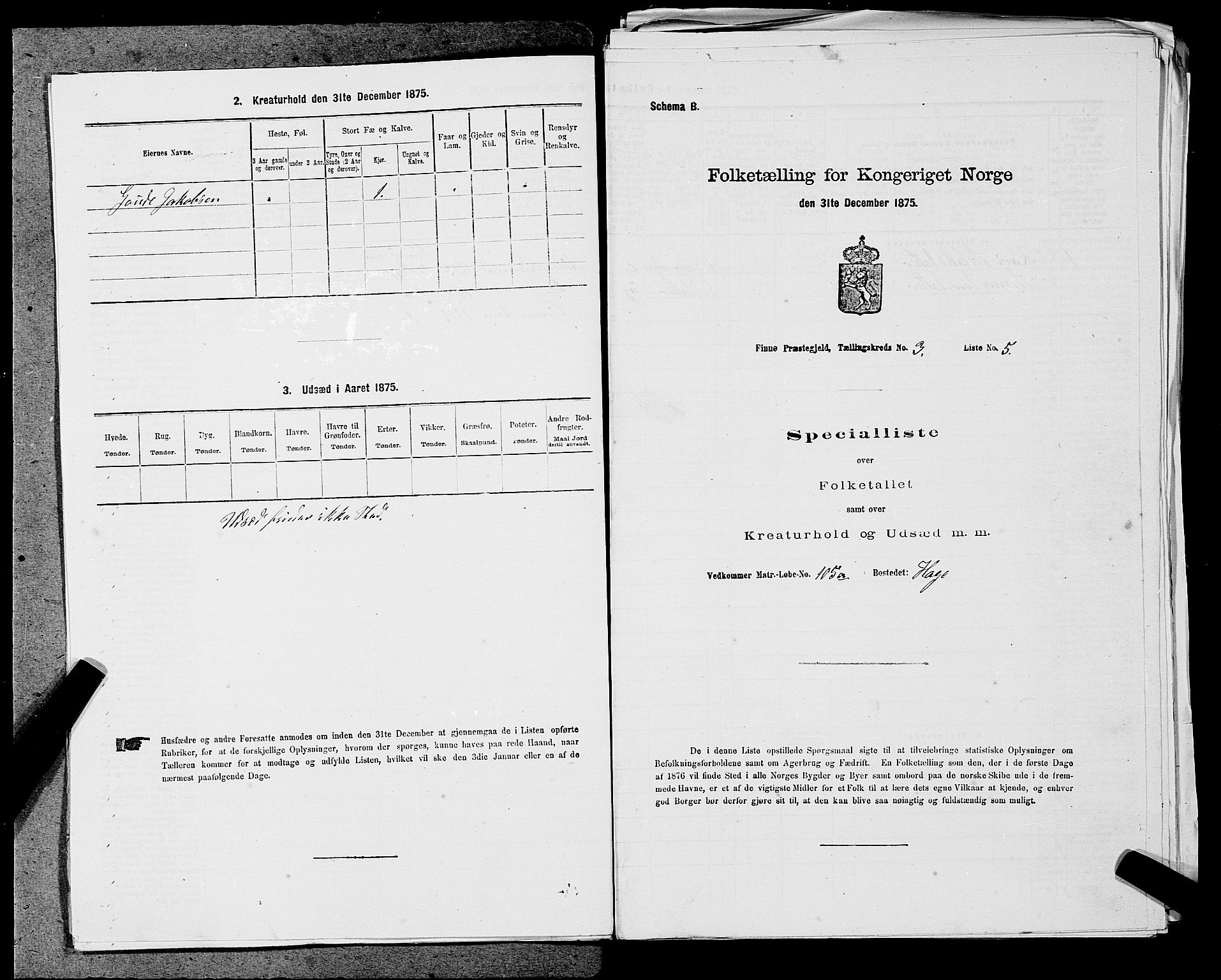 SAST, 1875 census for 1141P Finnøy, 1875, p. 265