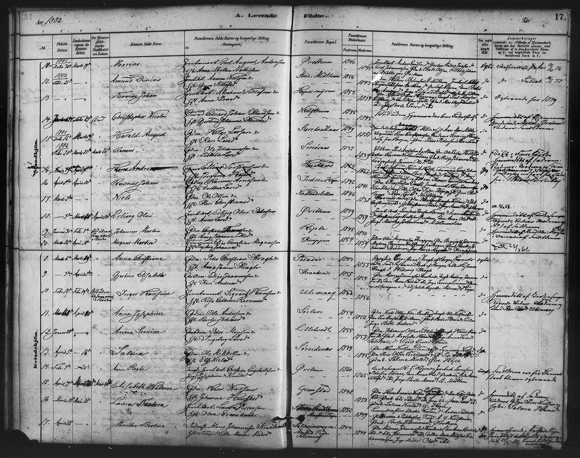 Fana Sokneprestembete, AV/SAB-A-75101/H/Haa/Haai/L0001: Parish register (official) no. I 1, 1878-1888, p. 17