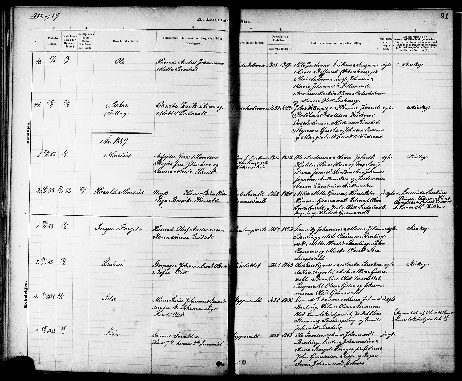 Ministerialprotokoller, klokkerbøker og fødselsregistre - Nord-Trøndelag, SAT/A-1458/724/L0267: Parish register (copy) no. 724C03, 1879-1898, p. 91