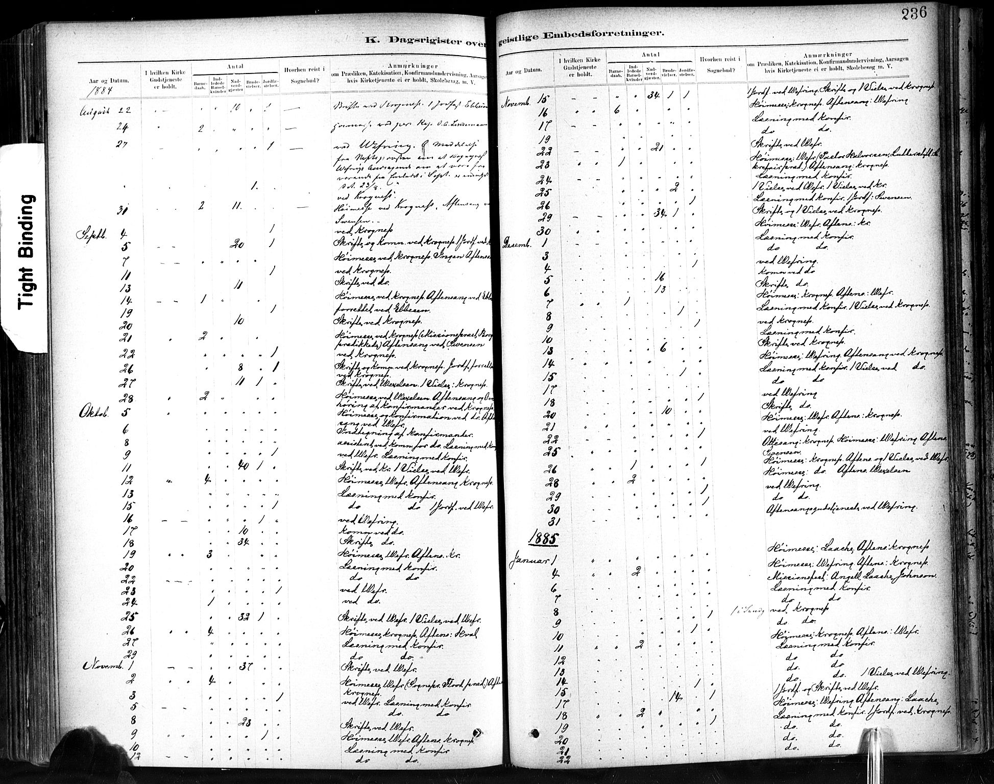 Ministerialprotokoller, klokkerbøker og fødselsregistre - Sør-Trøndelag, SAT/A-1456/602/L0120: Parish register (official) no. 602A18, 1880-1913, p. 236