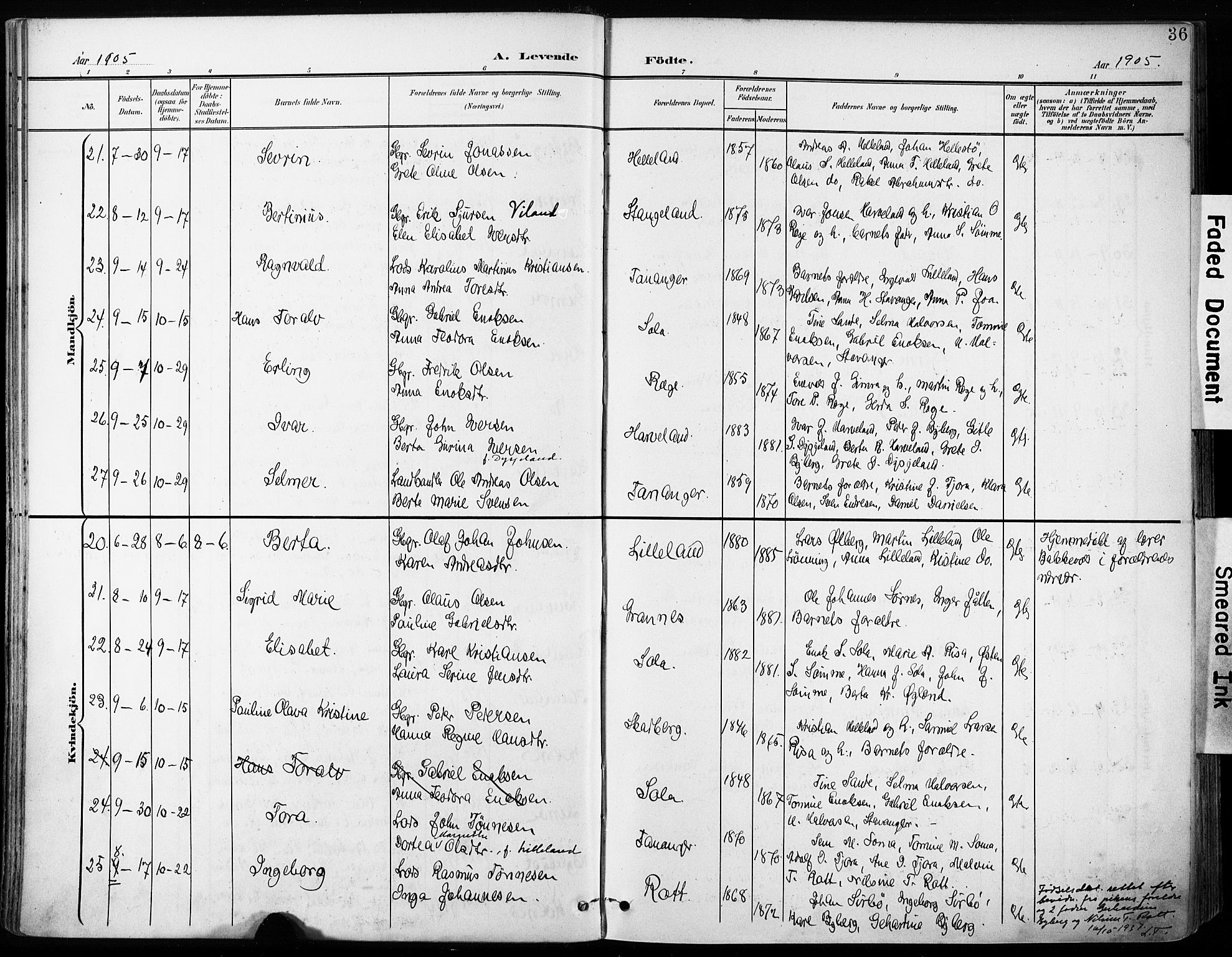 Håland sokneprestkontor, AV/SAST-A-101802/001/30BA/L0013: Parish register (official) no. A 12, 1901-1913, p. 36