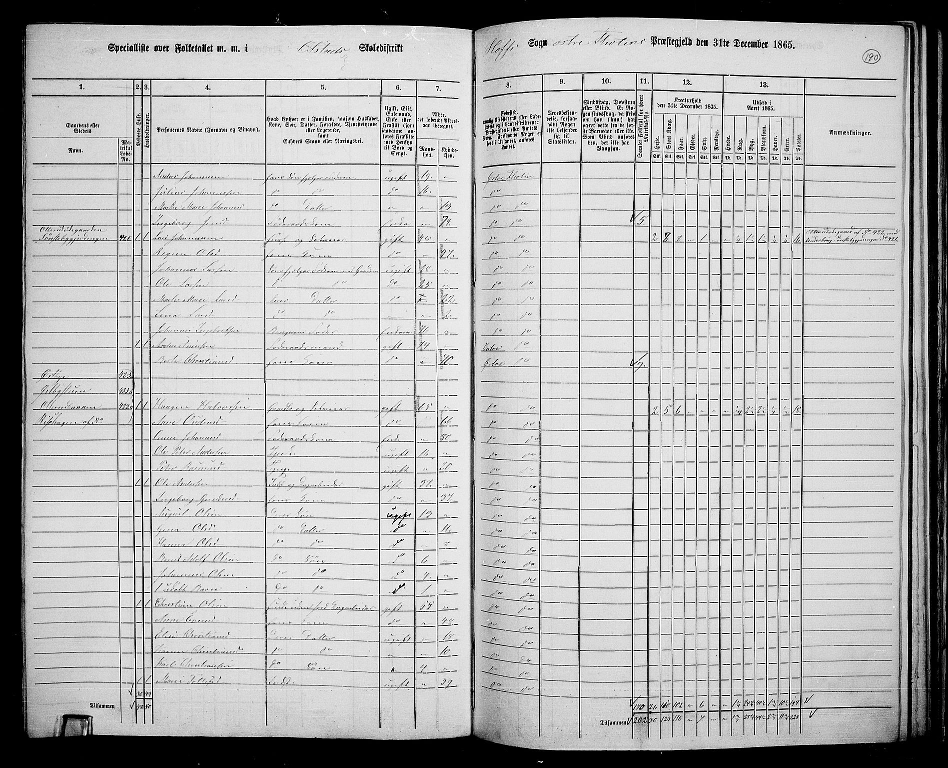 RA, 1865 census for Østre Toten, 1865, p. 302