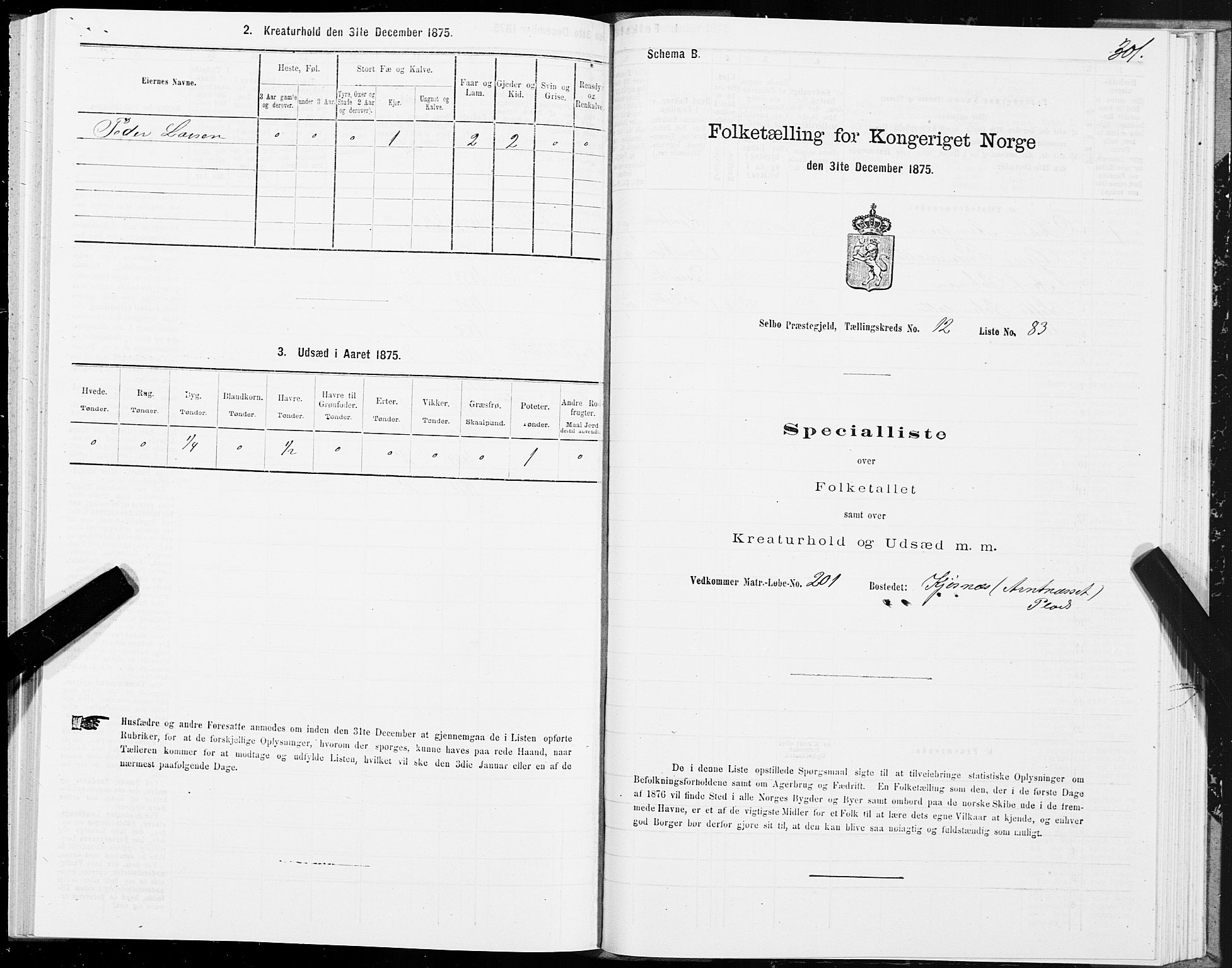 SAT, 1875 census for 1664P Selbu, 1875, p. 6301