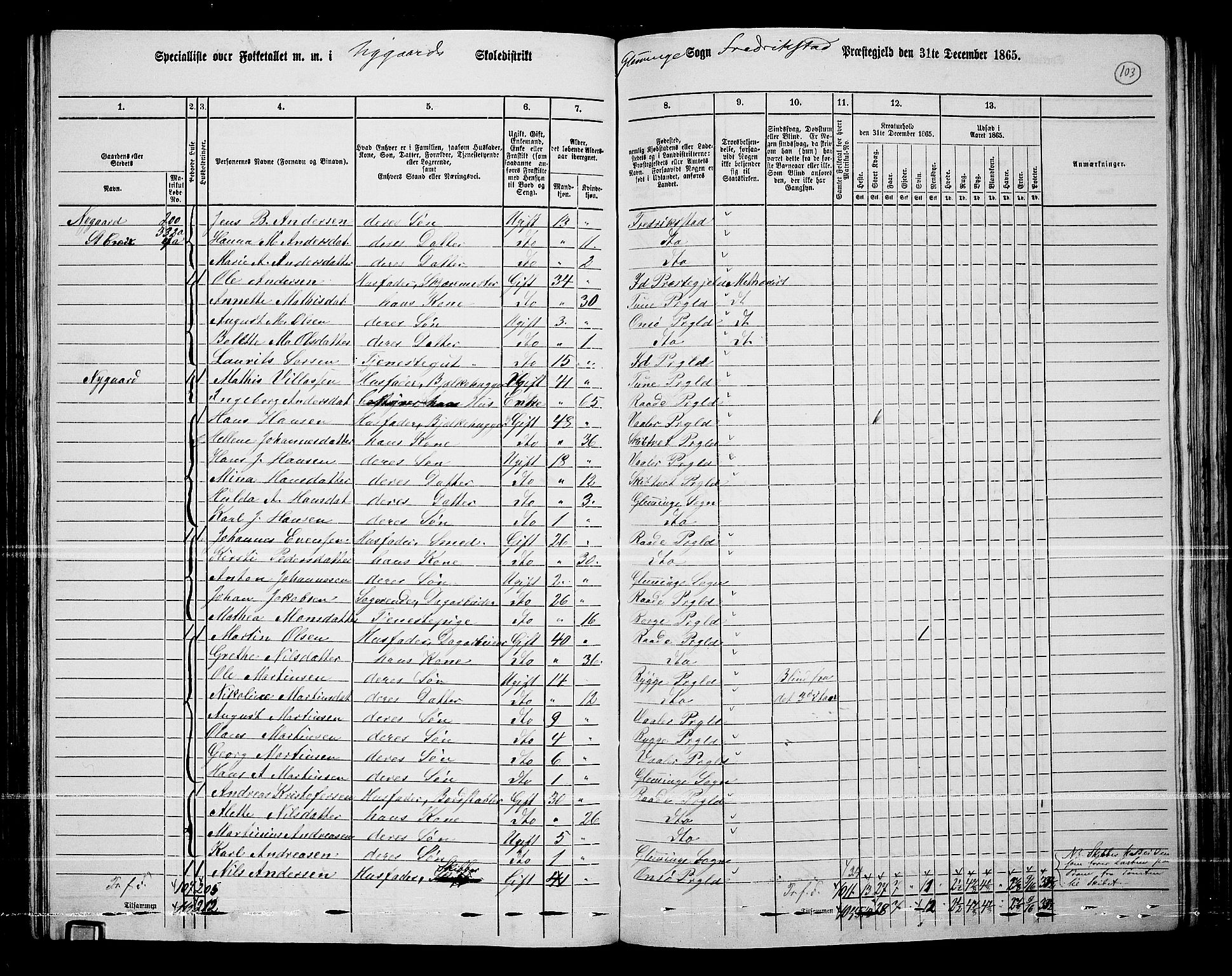 RA, 1865 census for Fredrikstad/Glemmen, 1865, p. 99