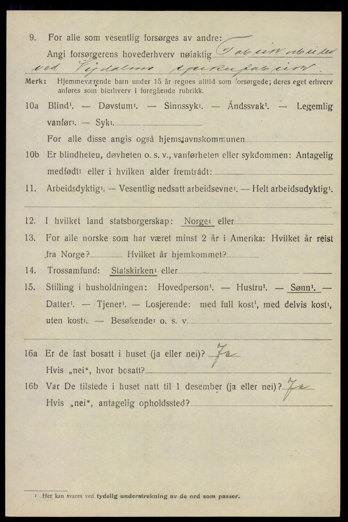 SAO, 1920 census for Nes, 1920, p. 12383