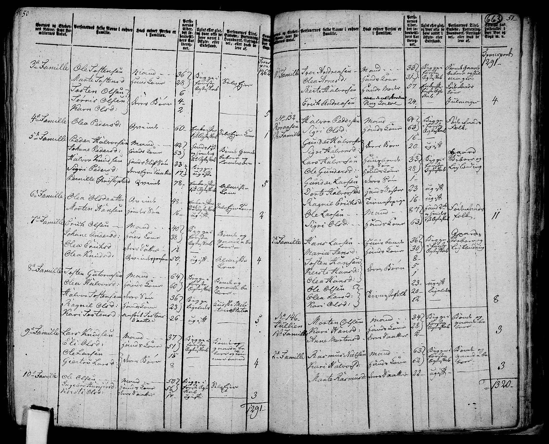 RA, 1801 census for 0424P Hof, 1801, p. 662b-663a