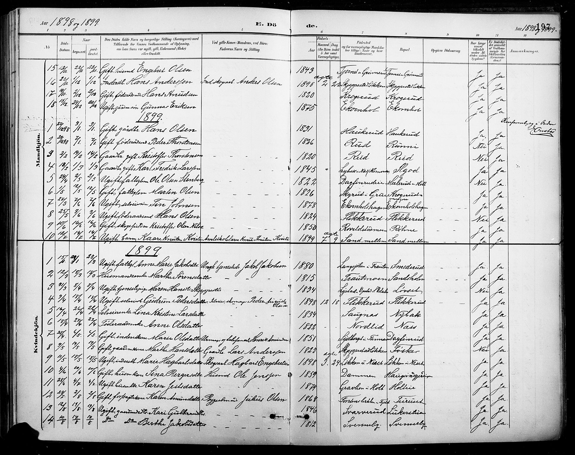 Nord-Odal prestekontor, AV/SAH-PREST-032/H/Ha/Hab/L0003: Parish register (copy) no. 3, 1895-1923, p. 197