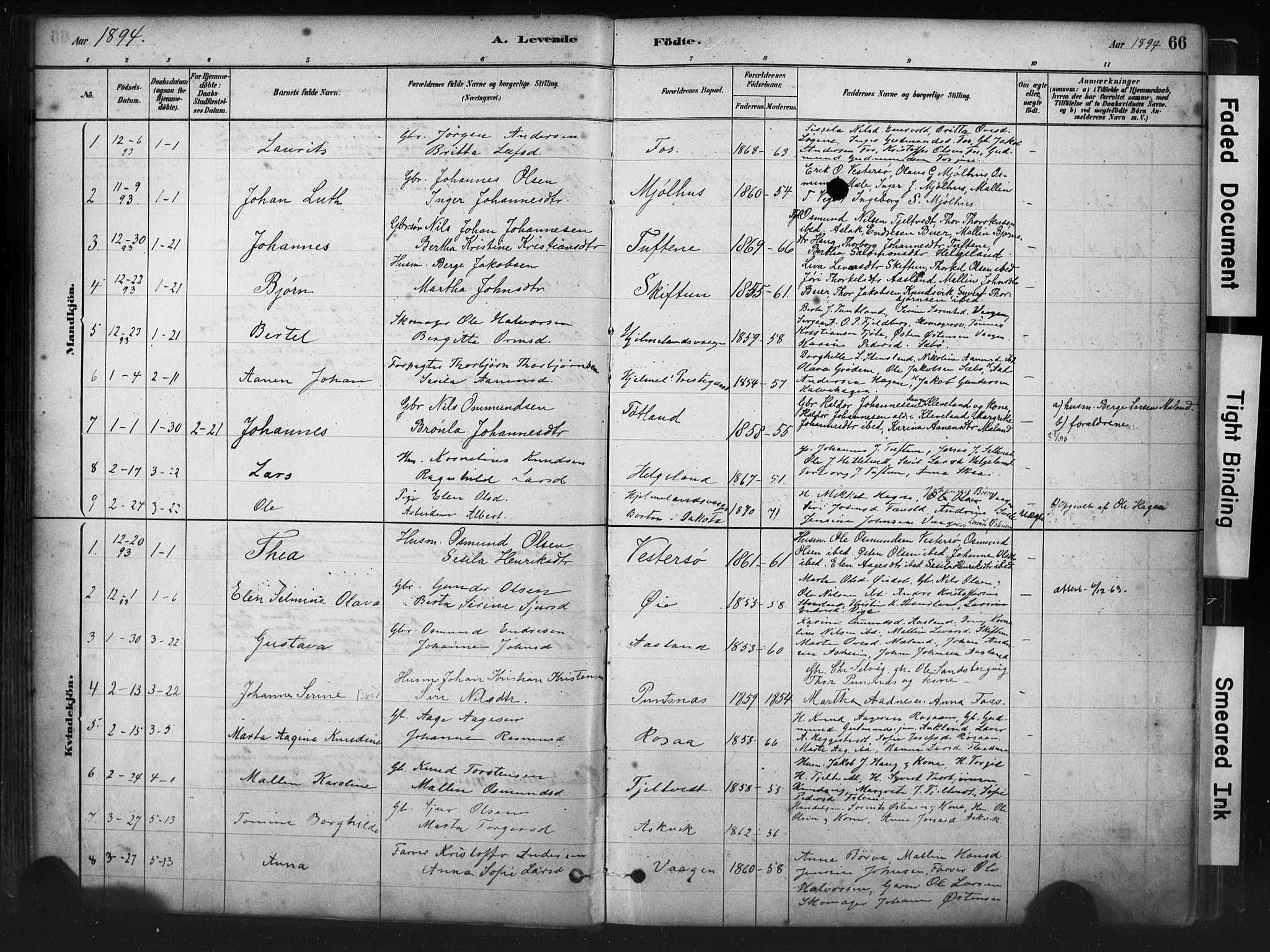 Hjelmeland sokneprestkontor, AV/SAST-A-101843/01/IV/L0014: Parish register (official) no. A 14, 1879-1900, p. 66