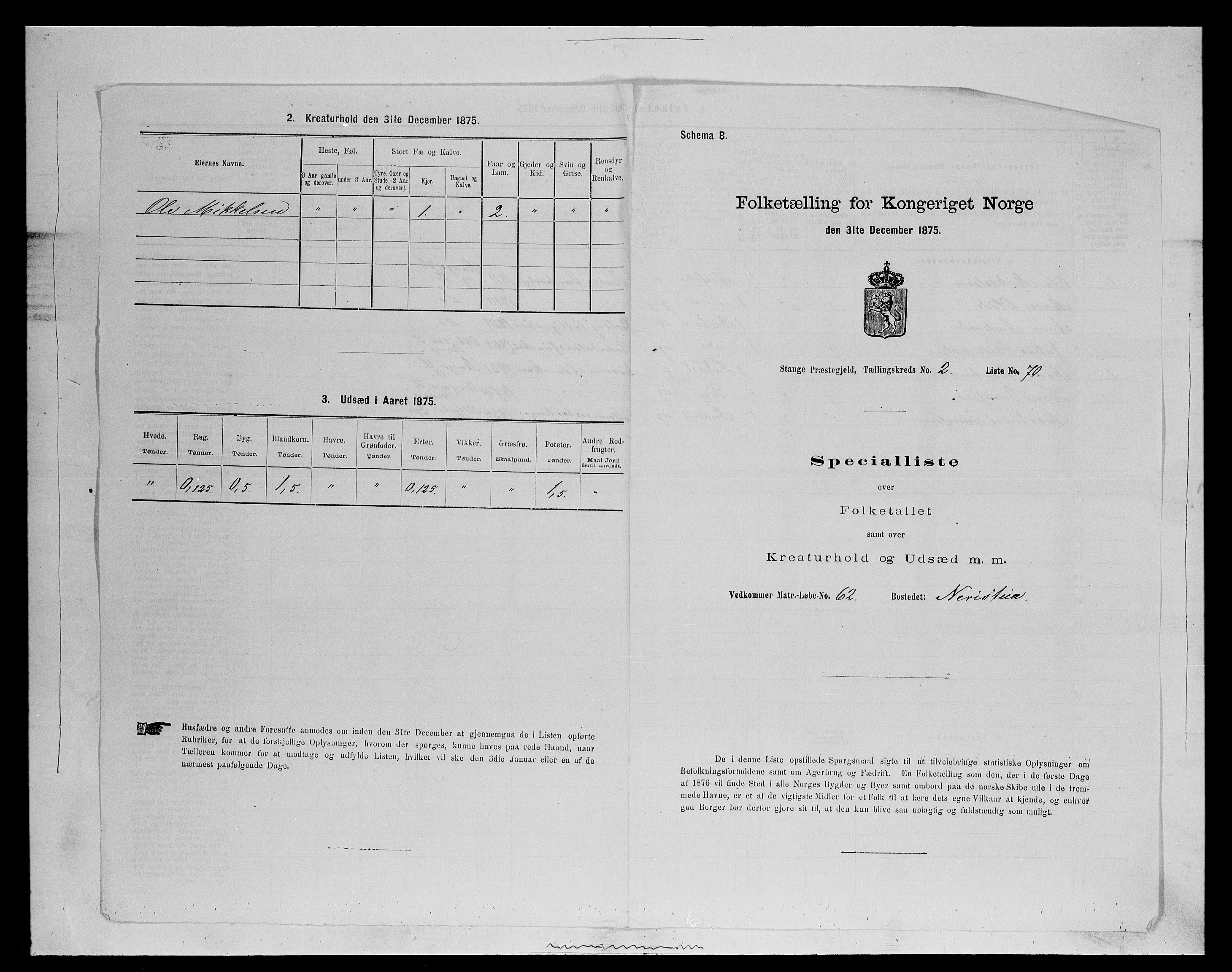 SAH, 1875 census for 0417P Stange, 1875, p. 420