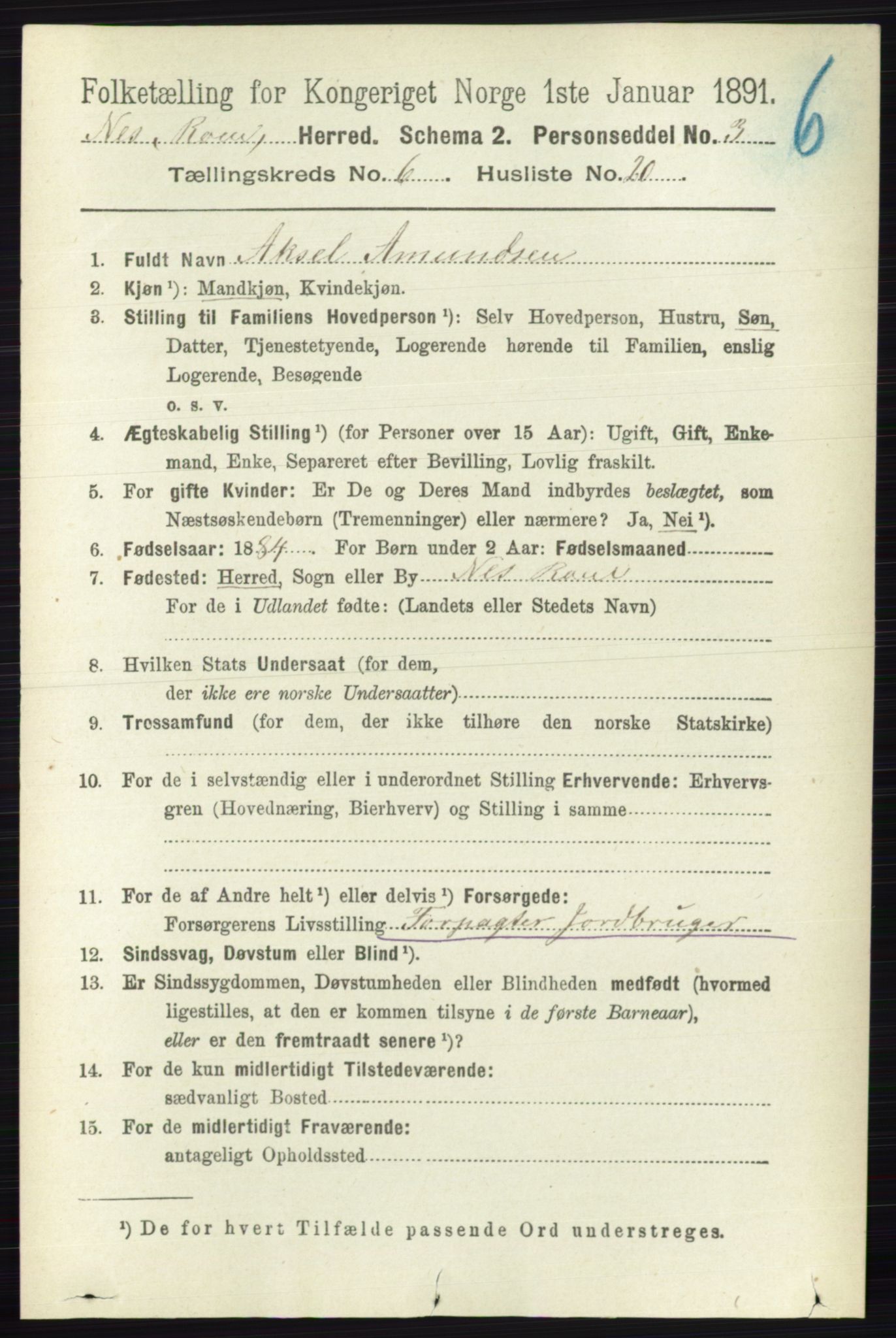 RA, 1891 census for 0236 Nes, 1891, p. 3496