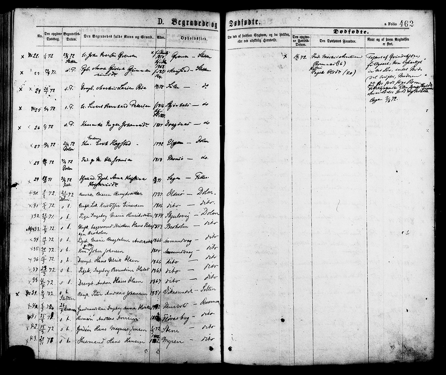 Ministerialprotokoller, klokkerbøker og fødselsregistre - Sør-Trøndelag, AV/SAT-A-1456/634/L0532: Parish register (official) no. 634A08, 1871-1881, p. 462