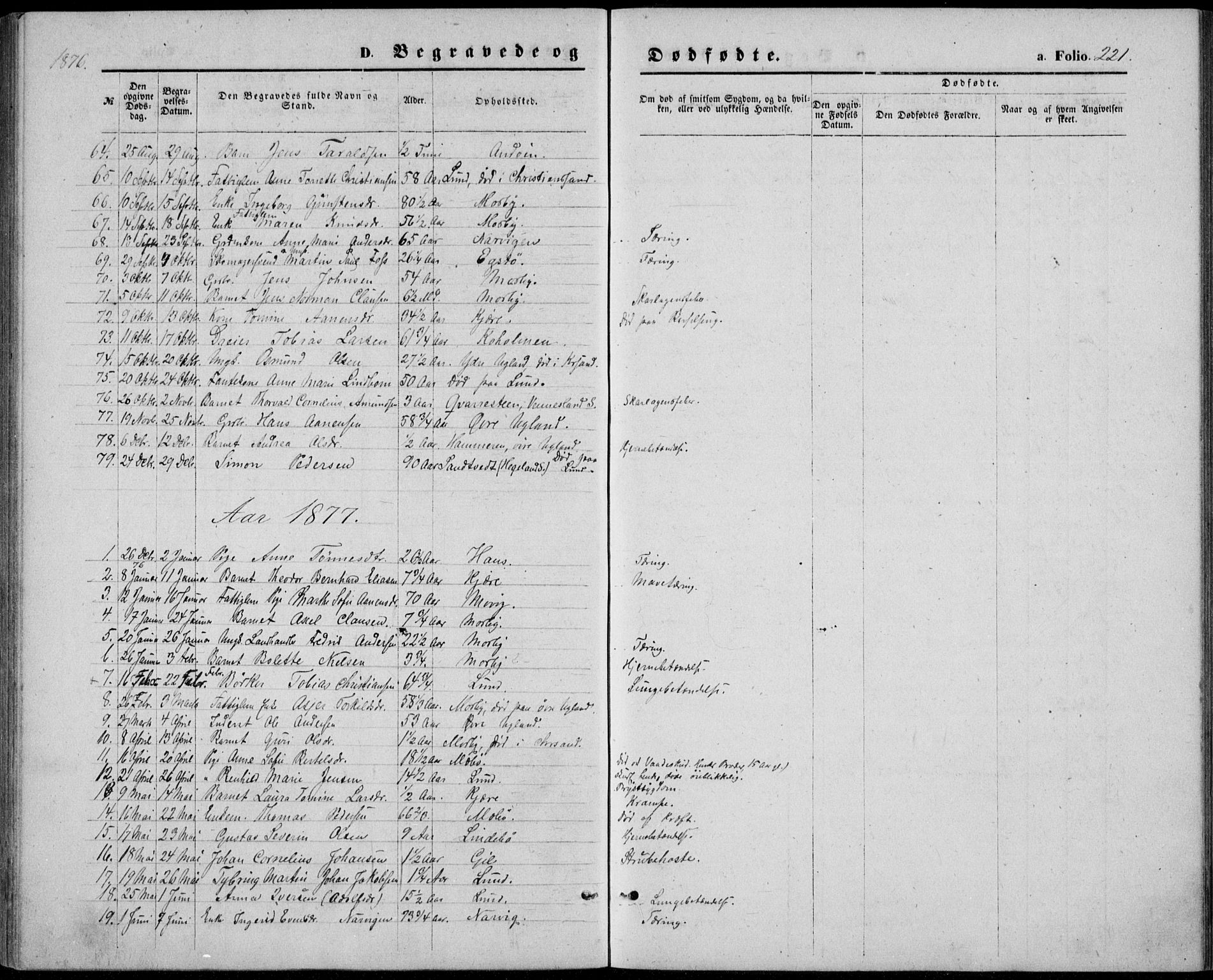 Oddernes sokneprestkontor, AV/SAK-1111-0033/F/Fb/Fba/L0007: Parish register (copy) no. B 7, 1869-1887, p. 221