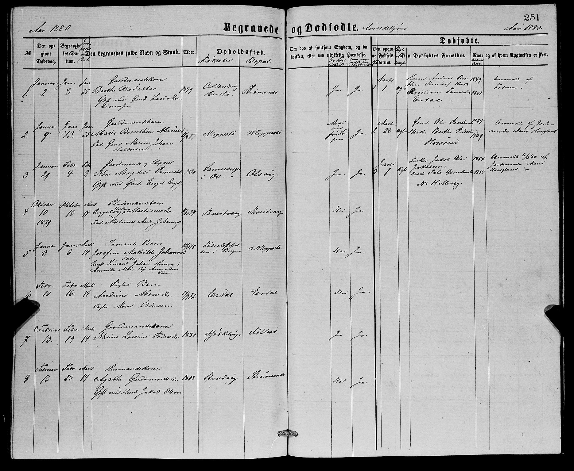 Askøy Sokneprestembete, SAB/A-74101/H/Ha/Hab/Haba/L0007: Parish register (copy) no. A 7, 1871-1881, p. 251