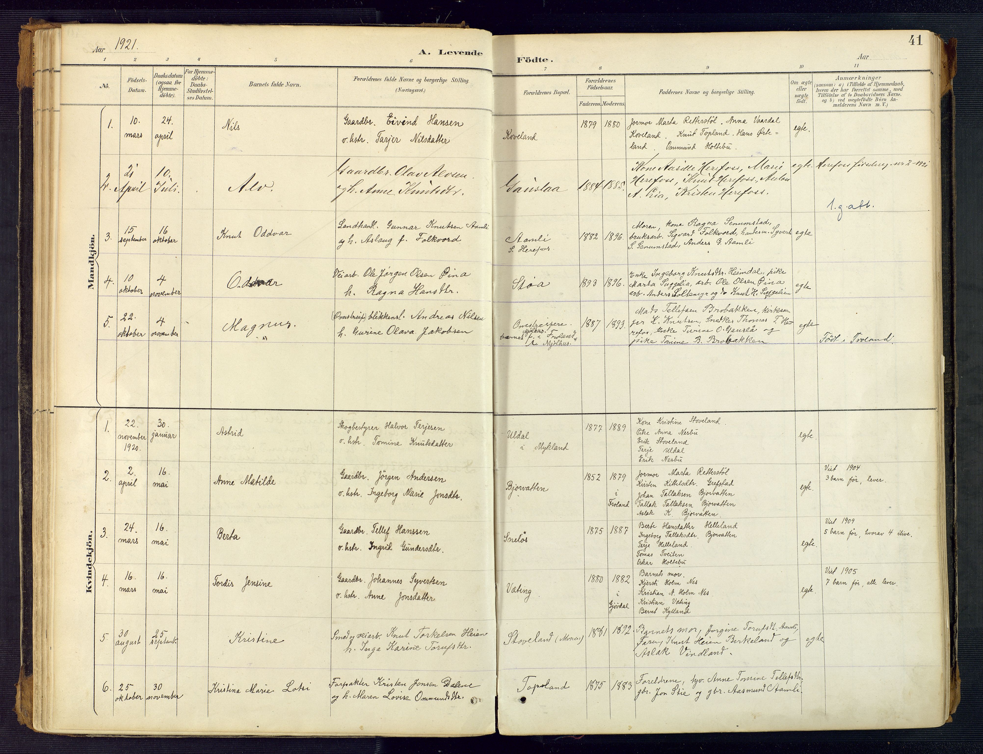 Herefoss sokneprestkontor, SAK/1111-0019/F/Fa/Faa/L0003: Parish register (official) no. A 3, 1887-1930, p. 41