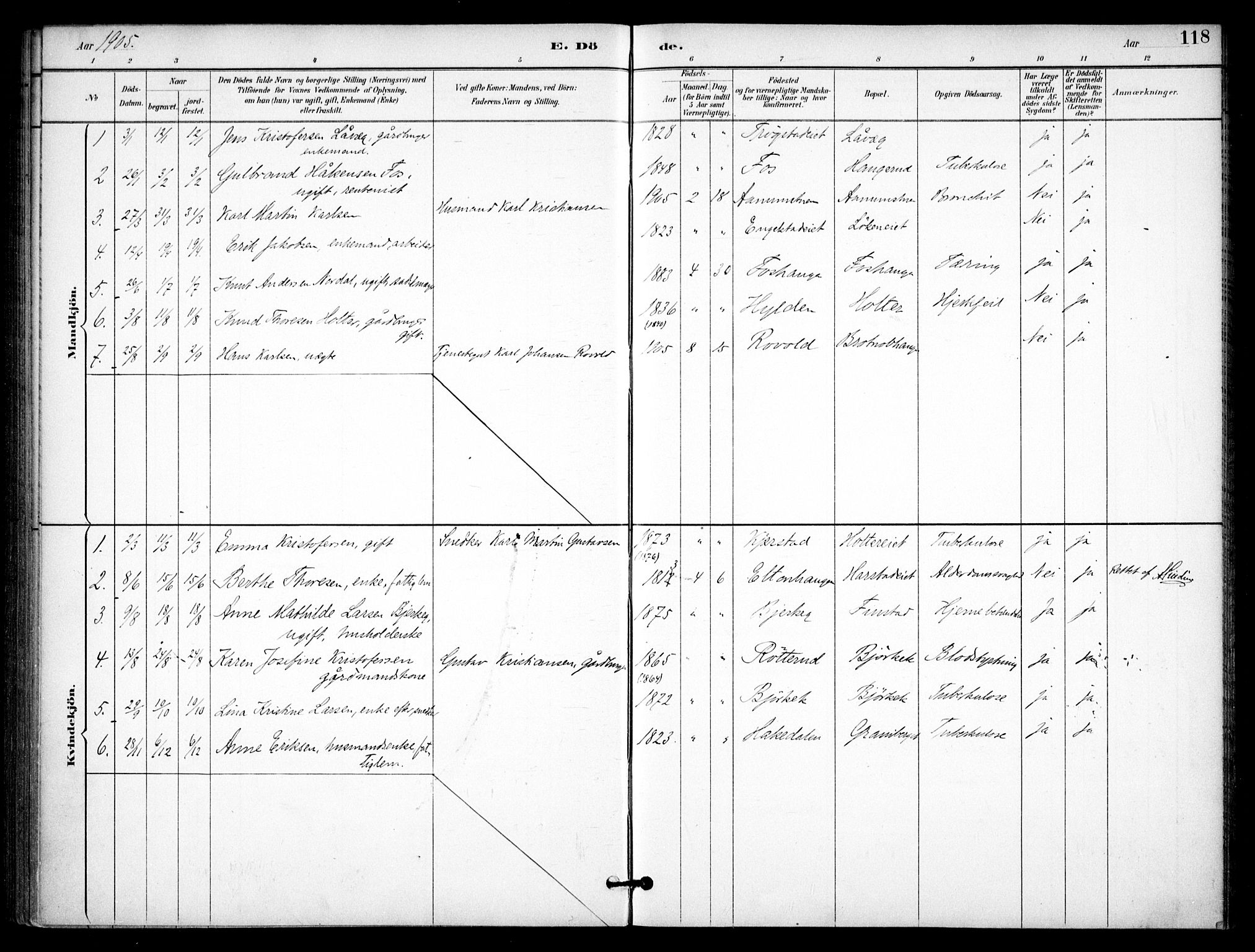 Nannestad prestekontor Kirkebøker, SAO/A-10414a/F/Fb/L0002: Parish register (official) no. II 2, 1891-1909, p. 118
