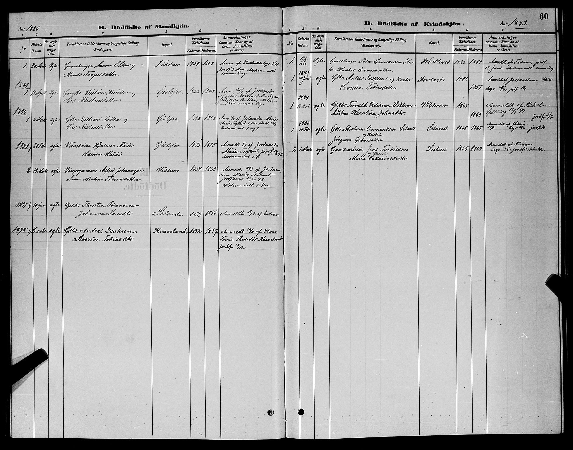 Nord-Audnedal sokneprestkontor, AV/SAK-1111-0032/F/Fb/Fba/L0003: Parish register (copy) no. B 3, 1881-1900, p. 60