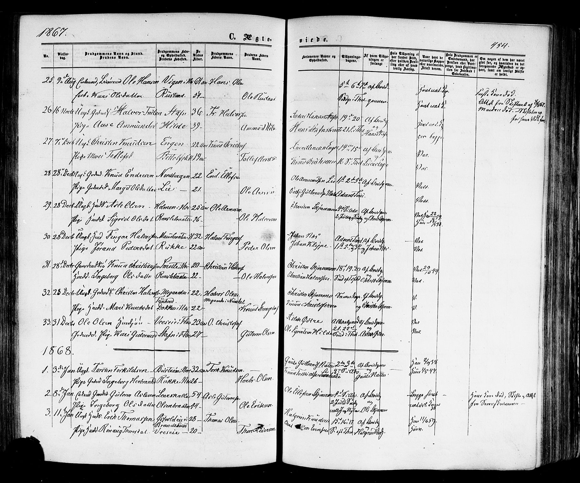 Nes kirkebøker, SAKO/A-236/F/Fa/L0010: Parish register (official) no. 10, 1864-1880, p. 454