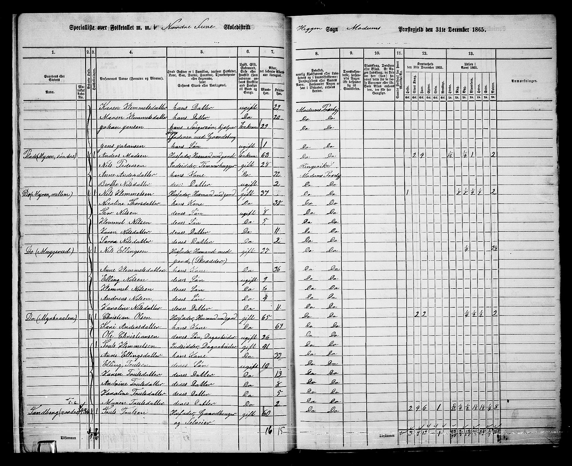 RA, 1865 census for Modum, 1865, p. 20