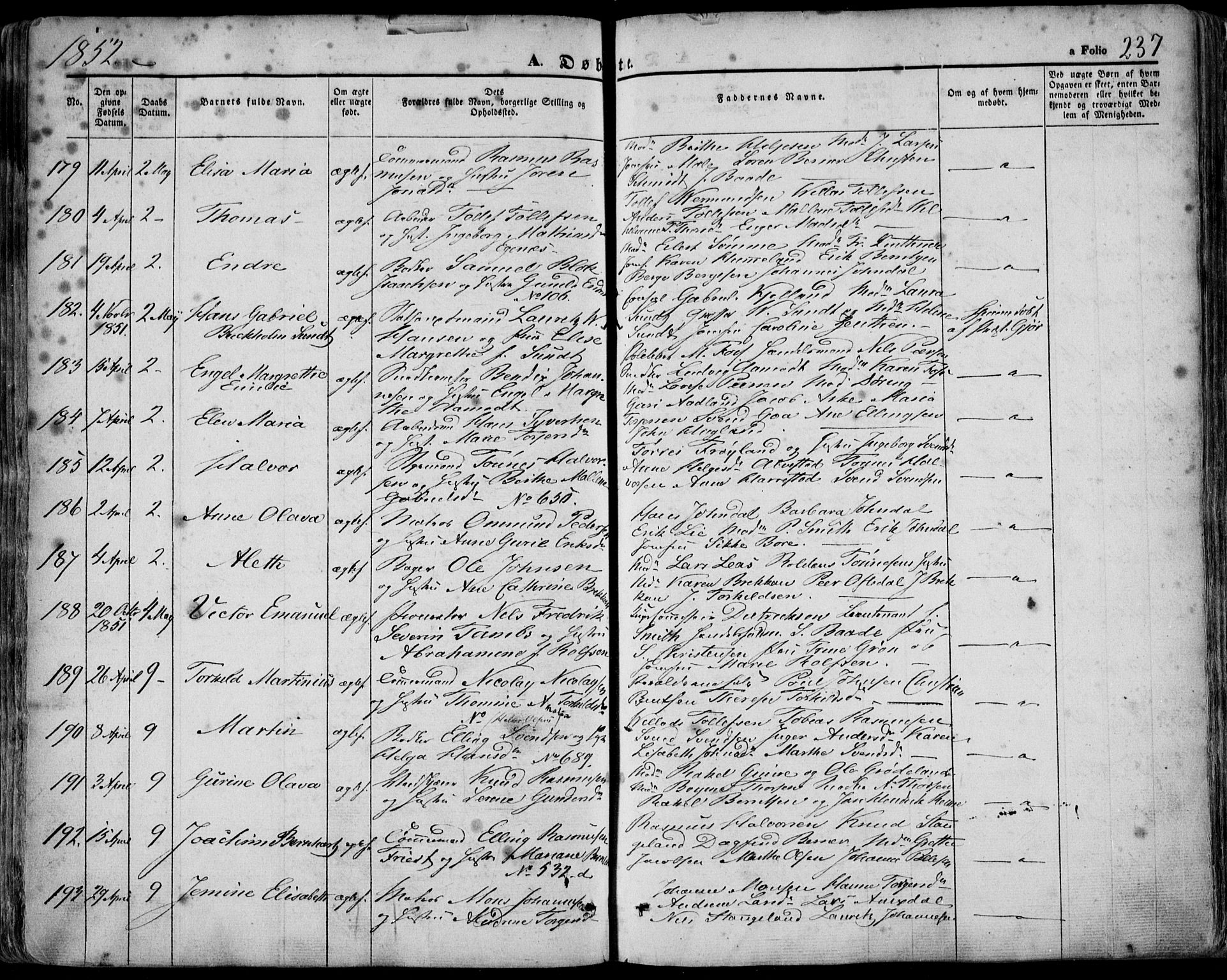 Domkirken sokneprestkontor, SAST/A-101812/001/30/30BA/L0016: Parish register (official) no. A 15, 1844-1854, p. 237
