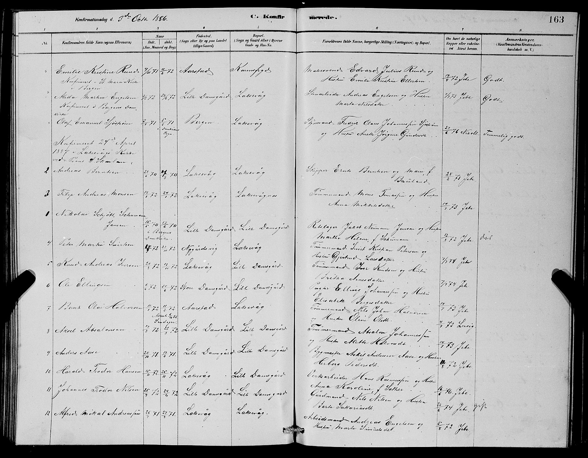 Laksevåg Sokneprestembete, SAB/A-76501/H/Ha/Hab/Haba/L0002: Parish register (copy) no. A 2, 1877-1887, p. 163