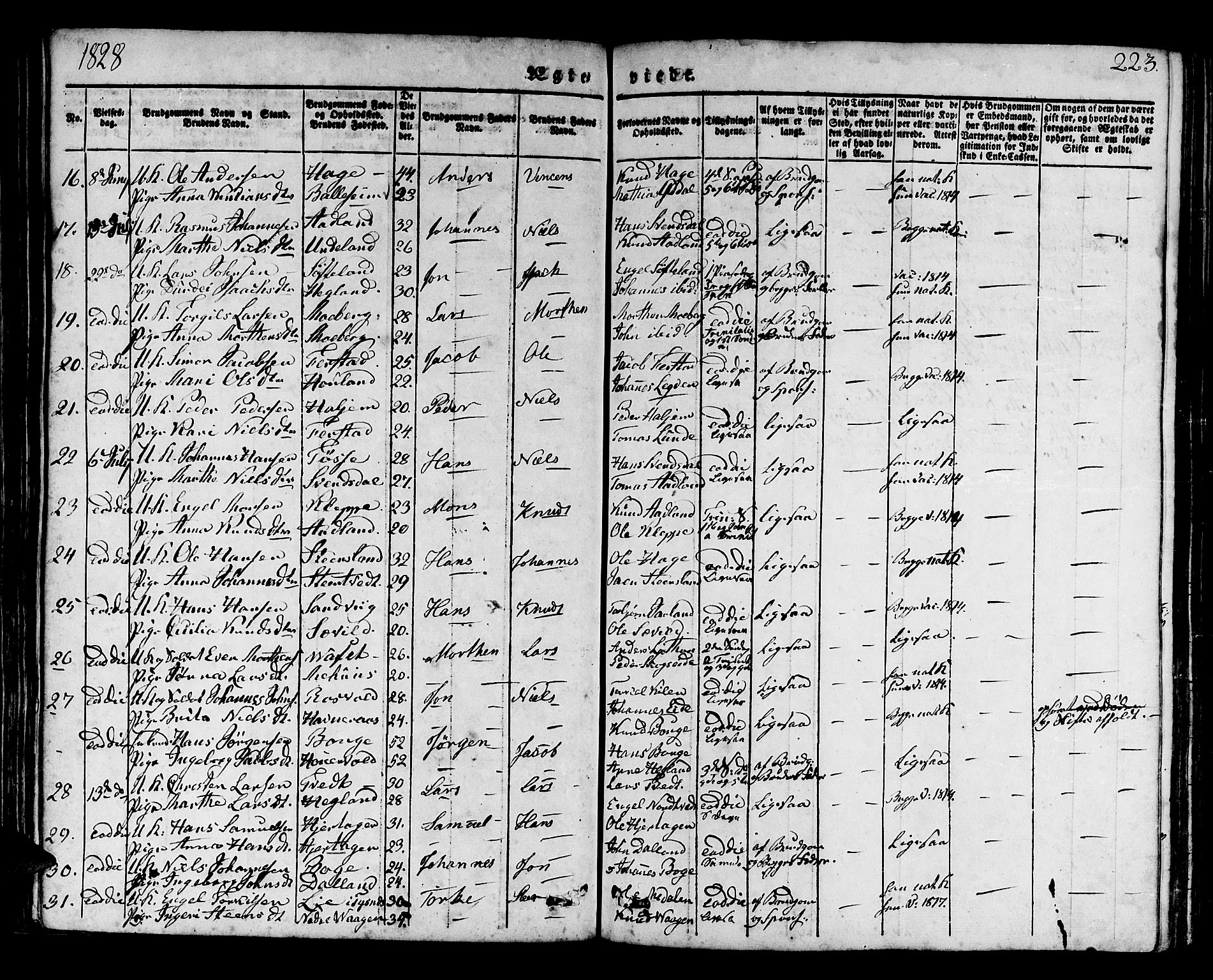 Os sokneprestembete, AV/SAB-A-99929: Parish register (official) no. A 14, 1826-1839, p. 223