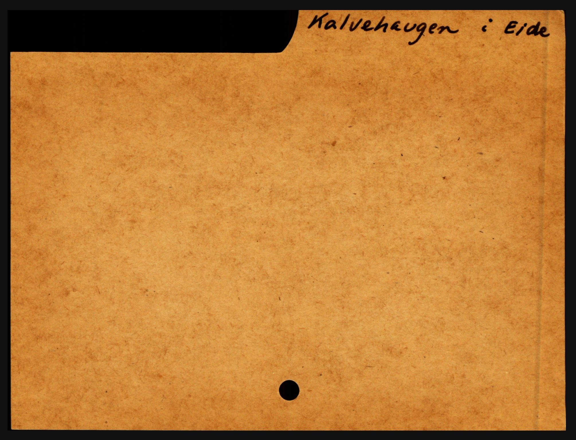 Nedenes sorenskriveri før 1824, SAK/1221-0007/H, p. 14455