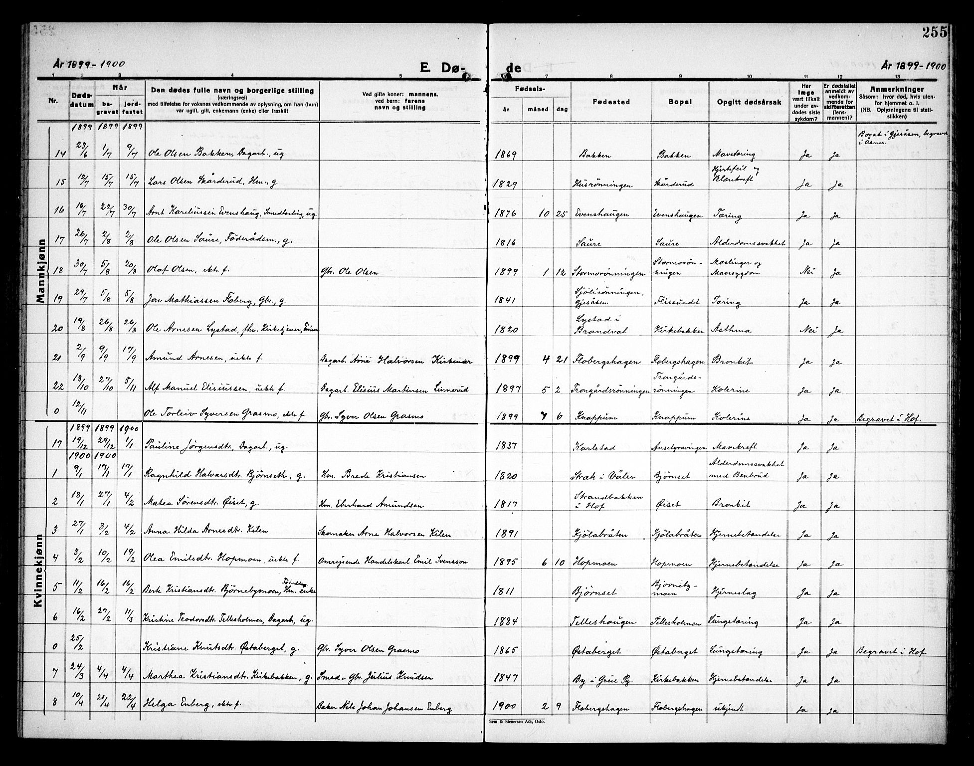 Åsnes prestekontor, SAH/PREST-042/H/Ha/Haa/L0000C: Parish register (official) no. 0A, 1890-1929, p. 255