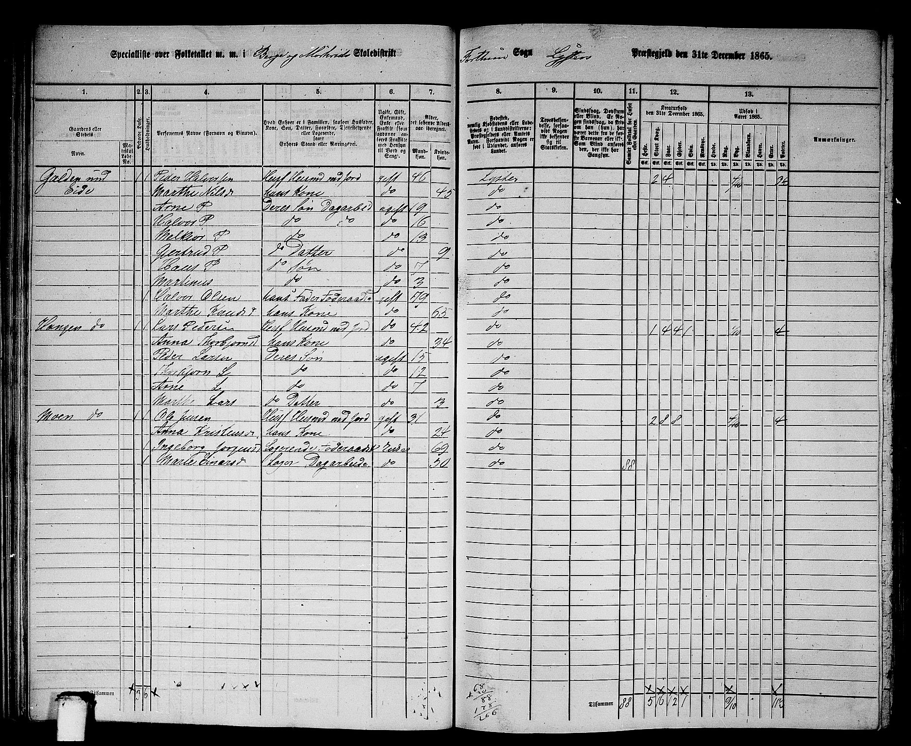 RA, 1865 census for Luster, 1865, p. 31