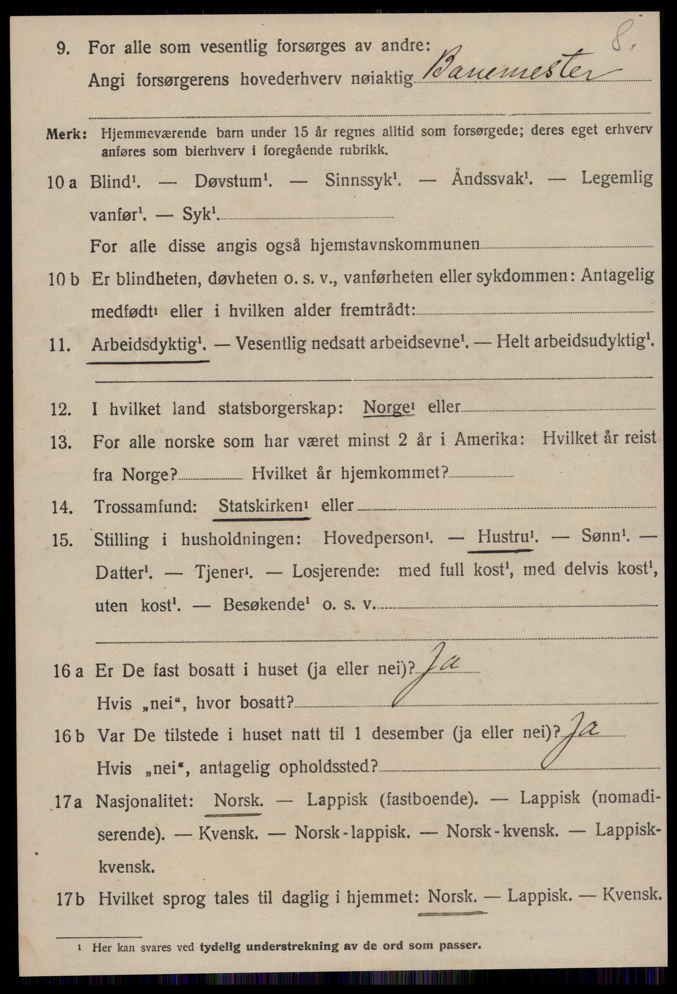 SAT, 1920 census for Røros, 1920, p. 6205