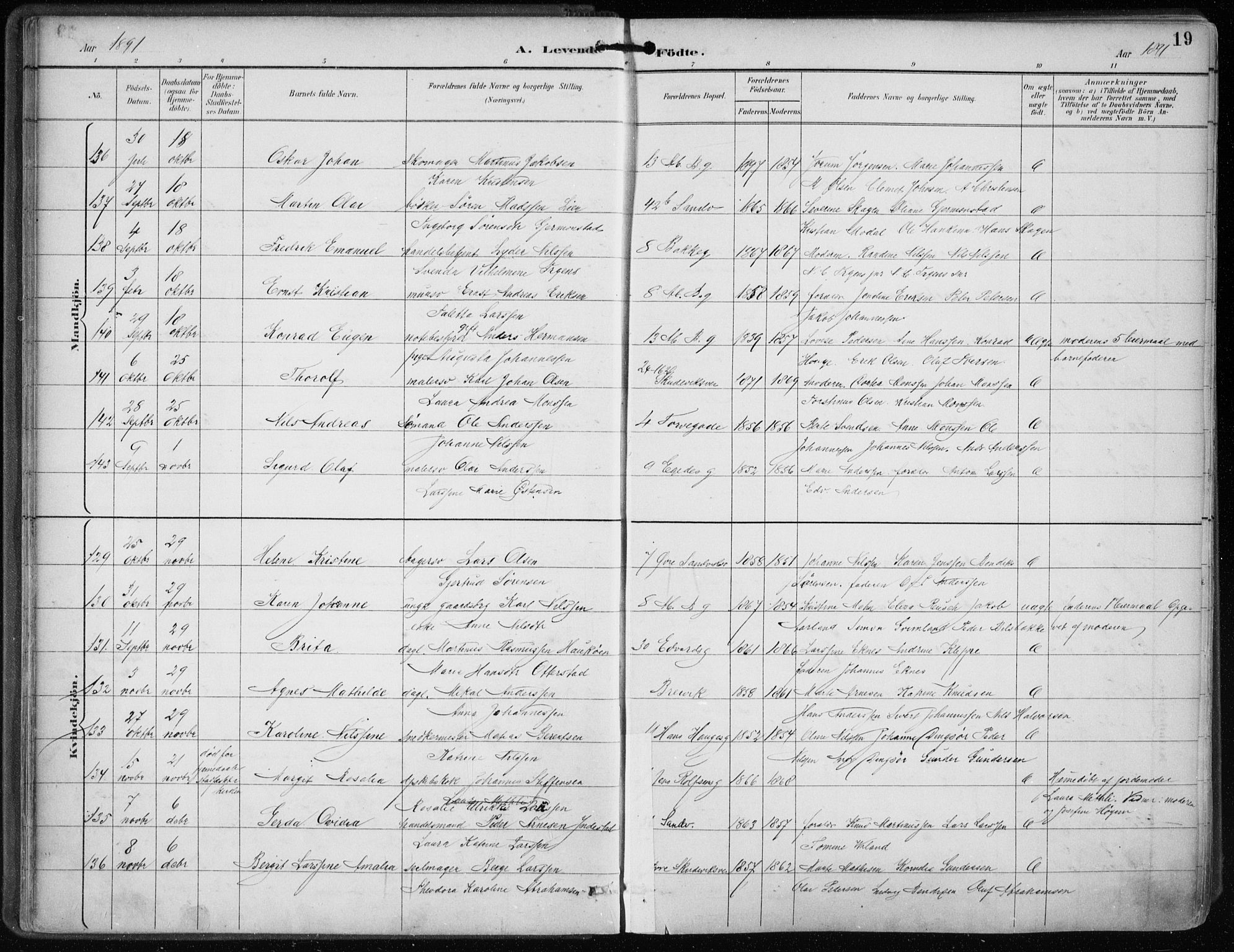 Sandviken Sokneprestembete, AV/SAB-A-77601/H/Ha/L0005: Parish register (official) no. B 2, 1891-1901, p. 19