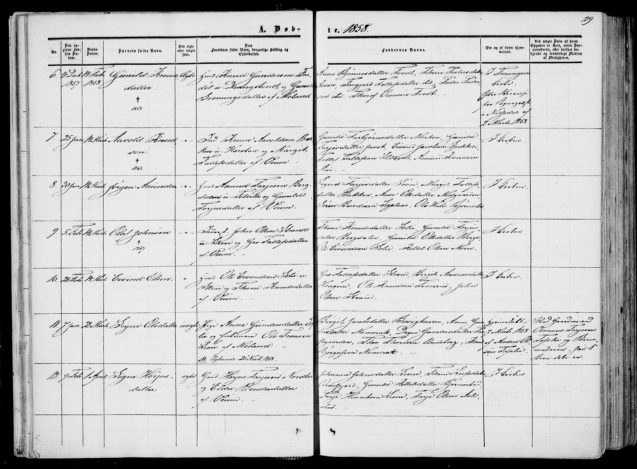 Fyresdal kirkebøker, SAKO/A-263/F/Fa/L0005: Parish register (official) no. I 5, 1855-1871, p. 29