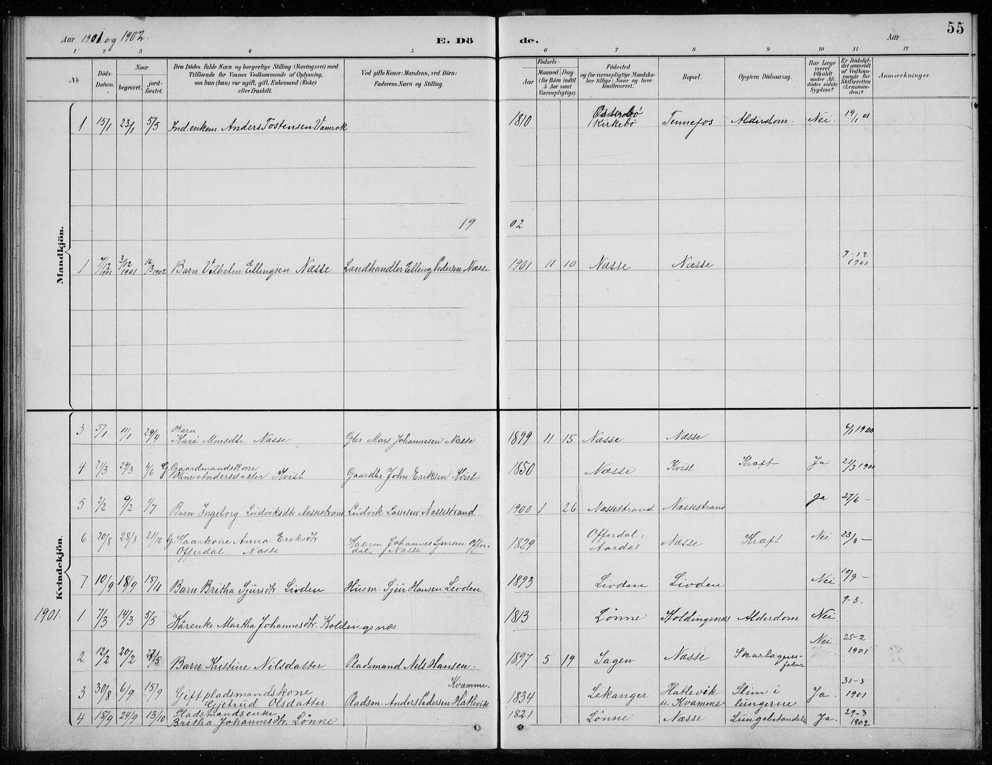 Balestrand sokneprestembete, SAB/A-79601/H/Hab/Habc/L0003: Parish register (copy) no. C 3, 1895-1927, p. 55