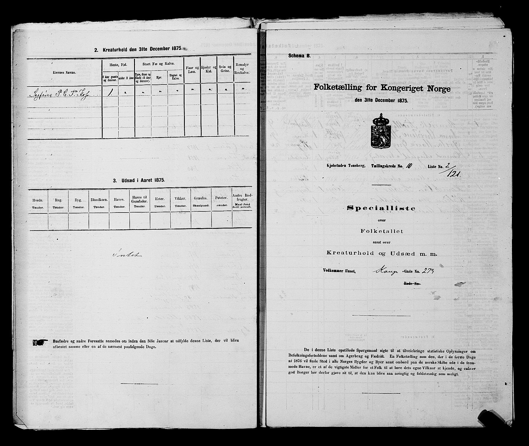 SAKO, 1875 census for 0705P Tønsberg, 1875, p. 302