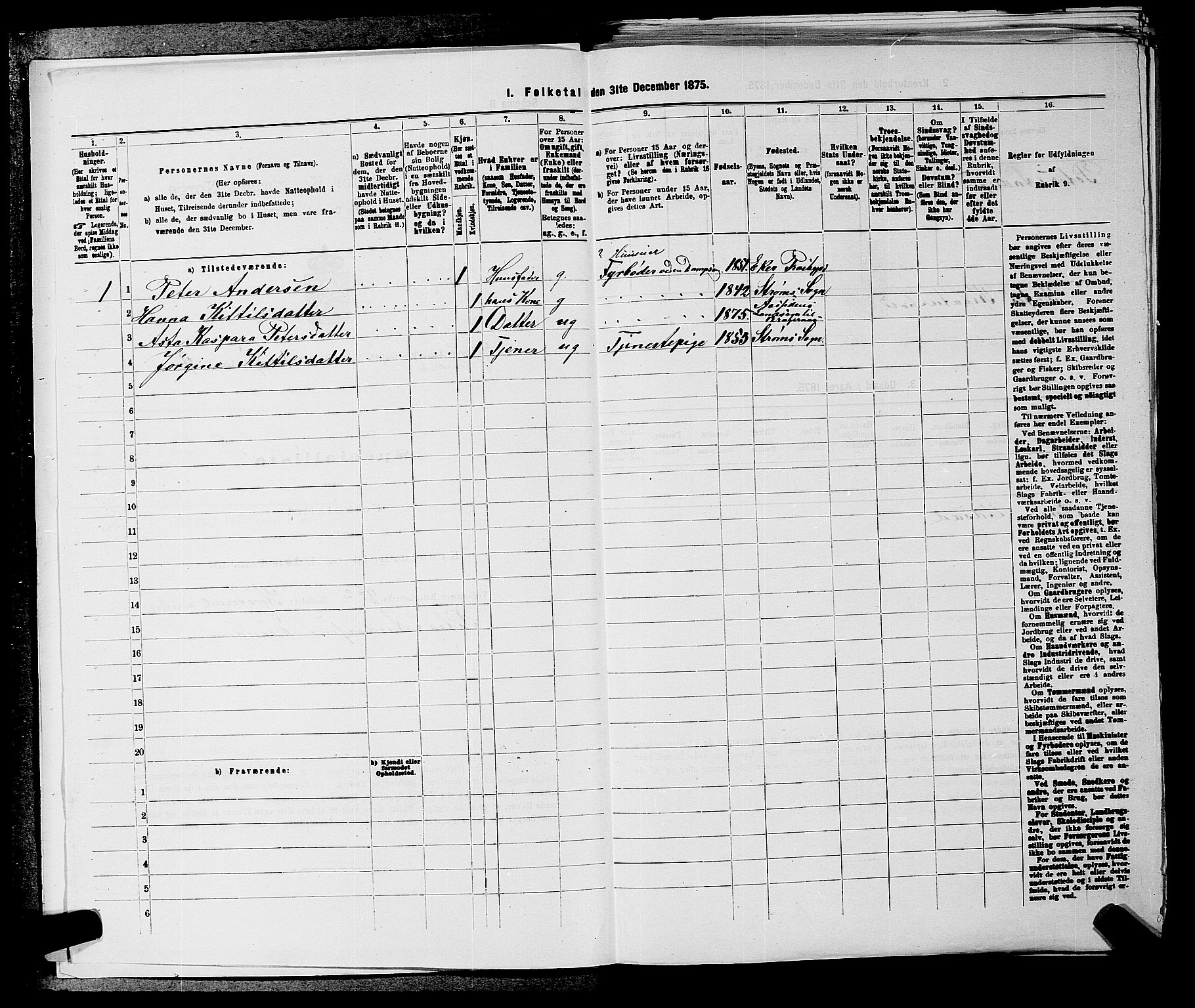 SAKO, 1875 census for 0626P Lier, 1875, p. 88