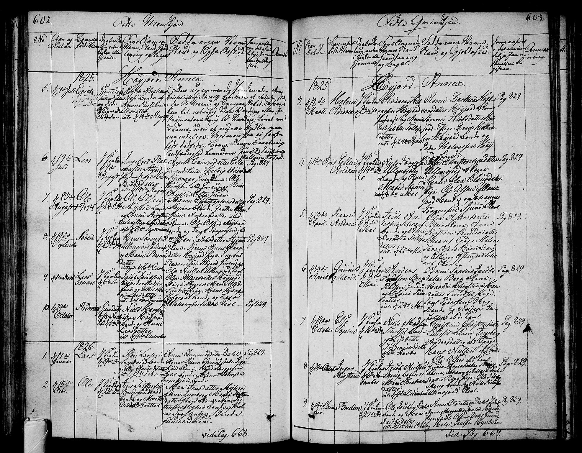Andebu kirkebøker, SAKO/A-336/F/Fa/L0003: Parish register (official) no. 3 /2, 1815-1828, p. 602-603