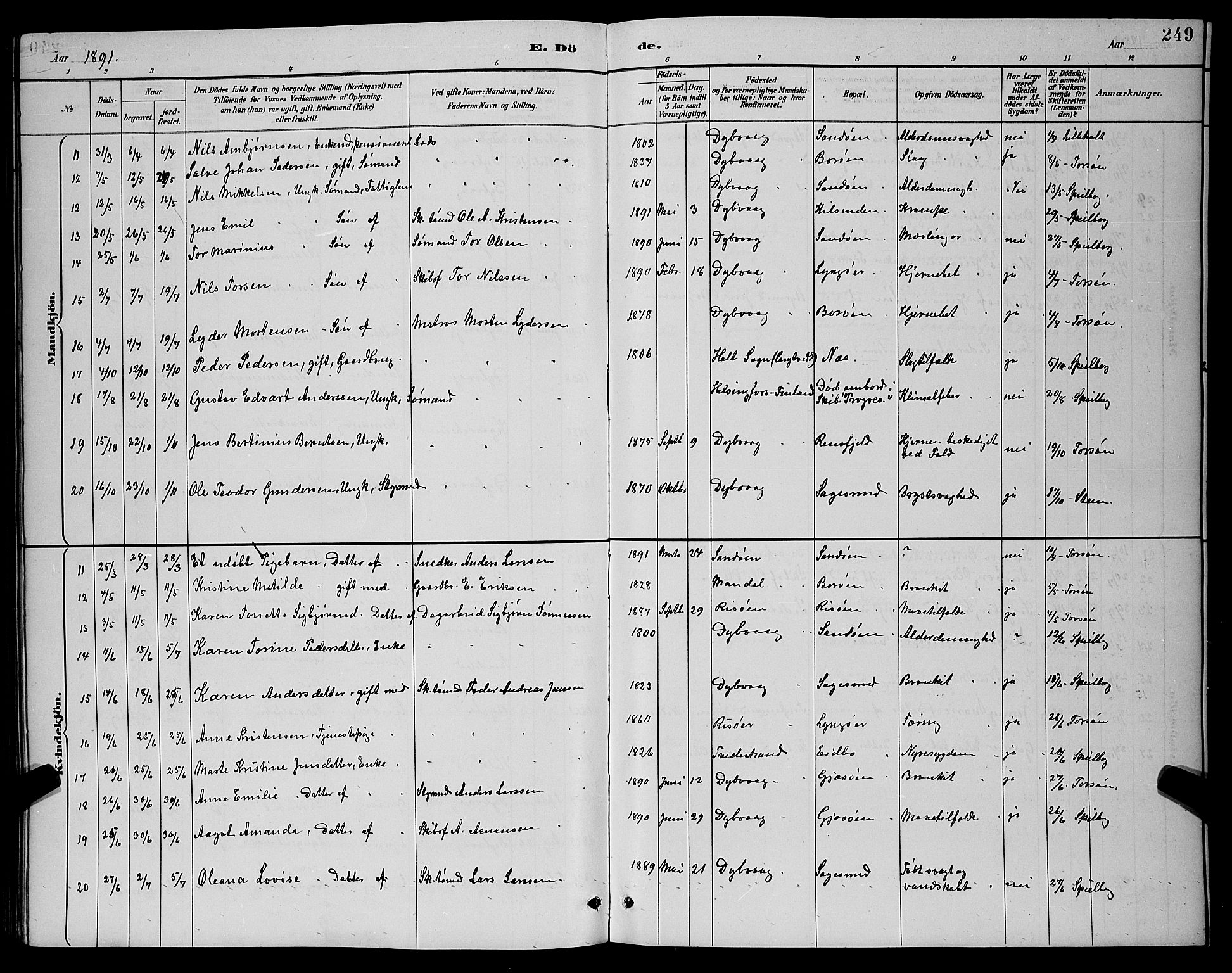 Dypvåg sokneprestkontor, SAK/1111-0007/F/Fb/Fba/L0013: Parish register (copy) no. B 13, 1887-1900, p. 249