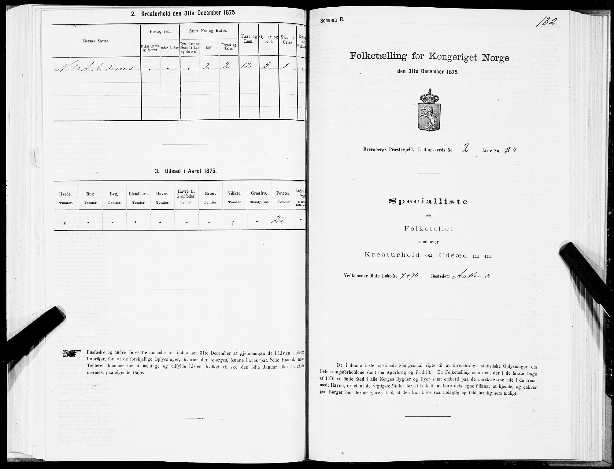 SAT, 1875 census for 1872P Dverberg, 1875, p. 1132