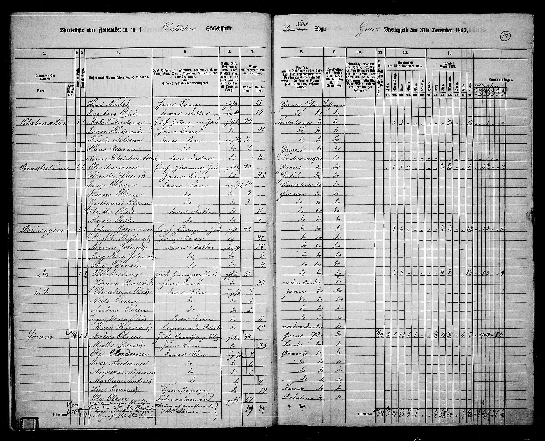 RA, 1865 census for Gran, 1865, p. 205