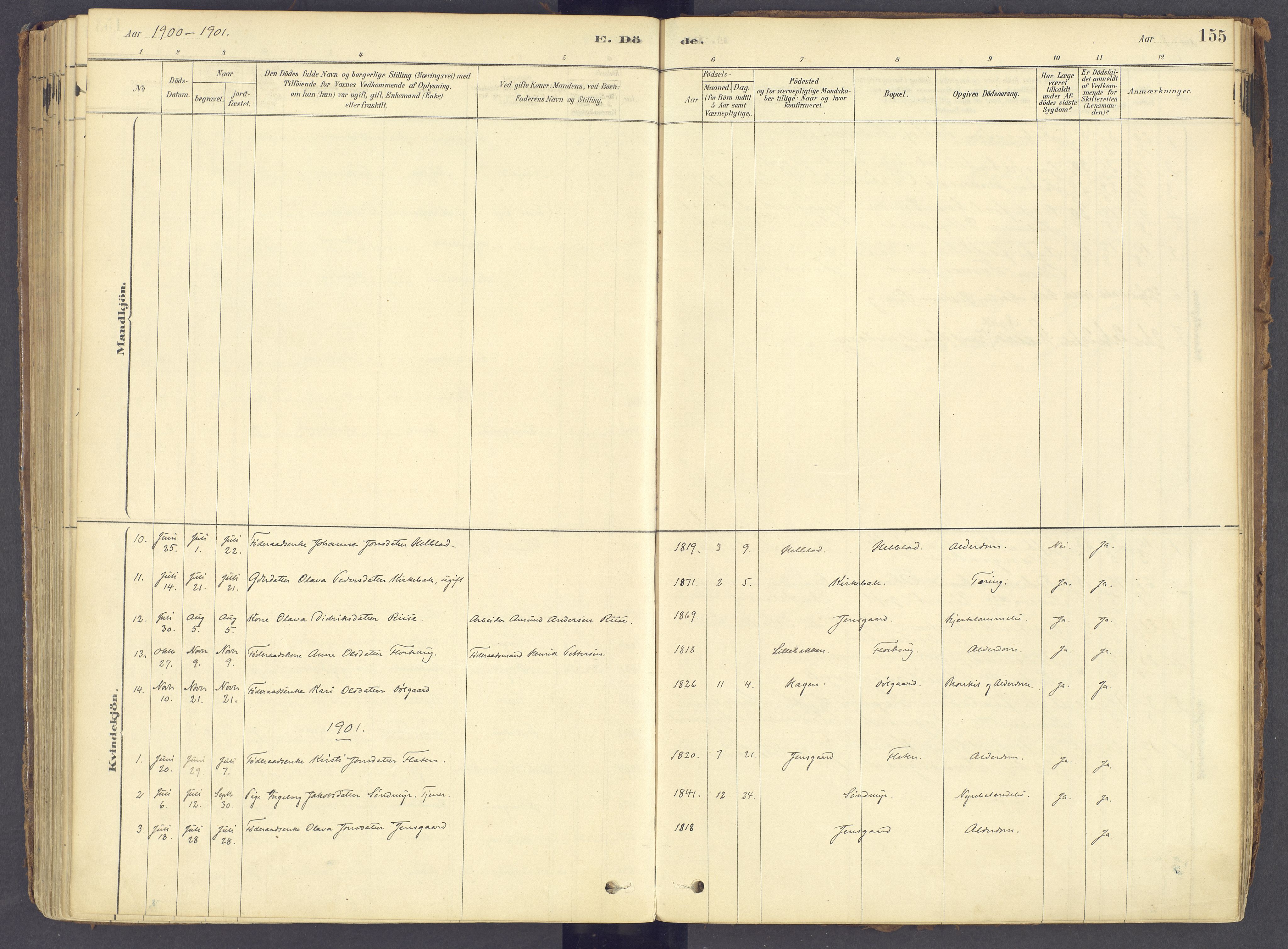 Tolga prestekontor, AV/SAH-PREST-062/K/L0011: Parish register (official) no. 11, 1877-1920, p. 155