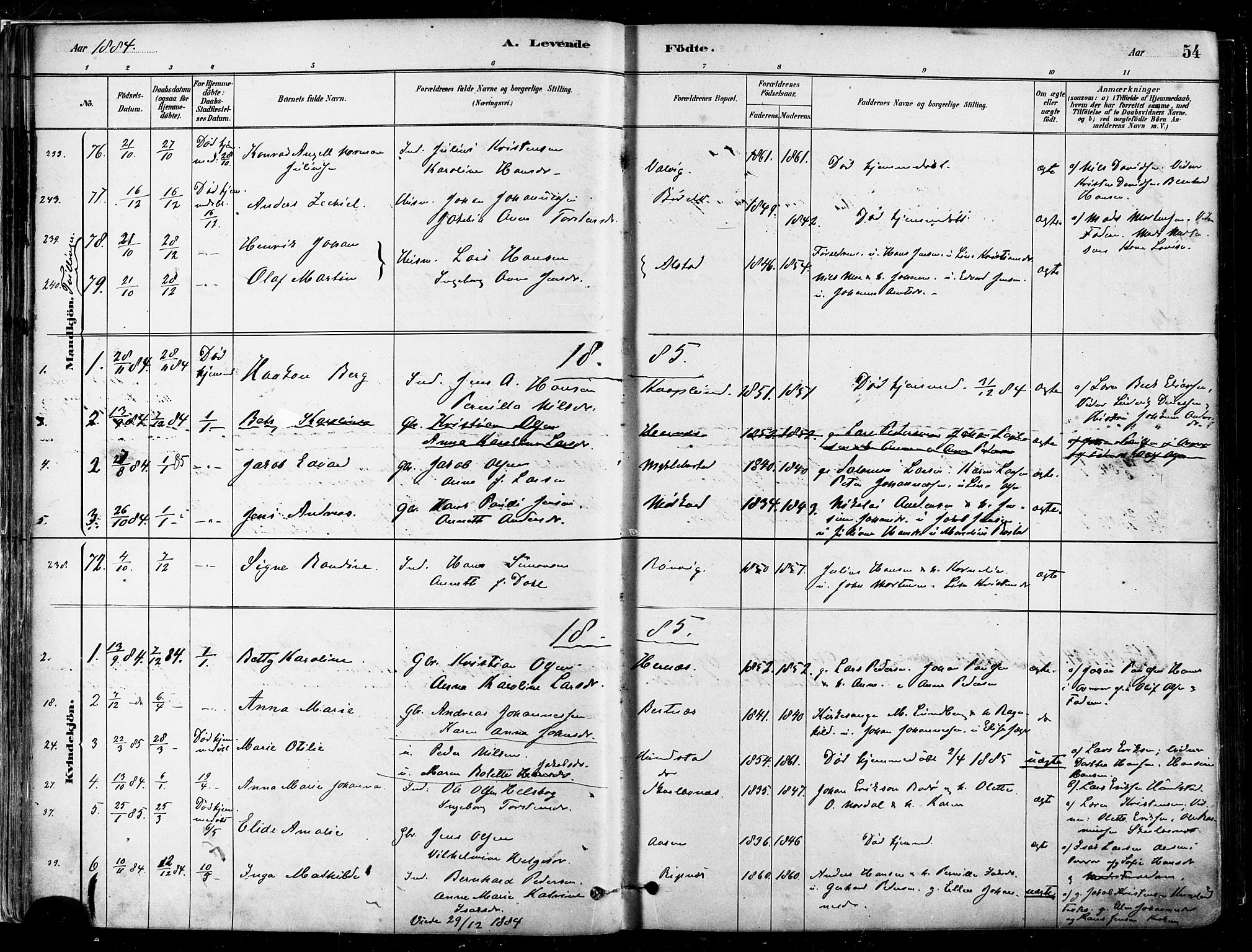 Ministerialprotokoller, klokkerbøker og fødselsregistre - Nordland, AV/SAT-A-1459/802/L0054: Parish register (official) no. 802A01, 1879-1893, p. 54