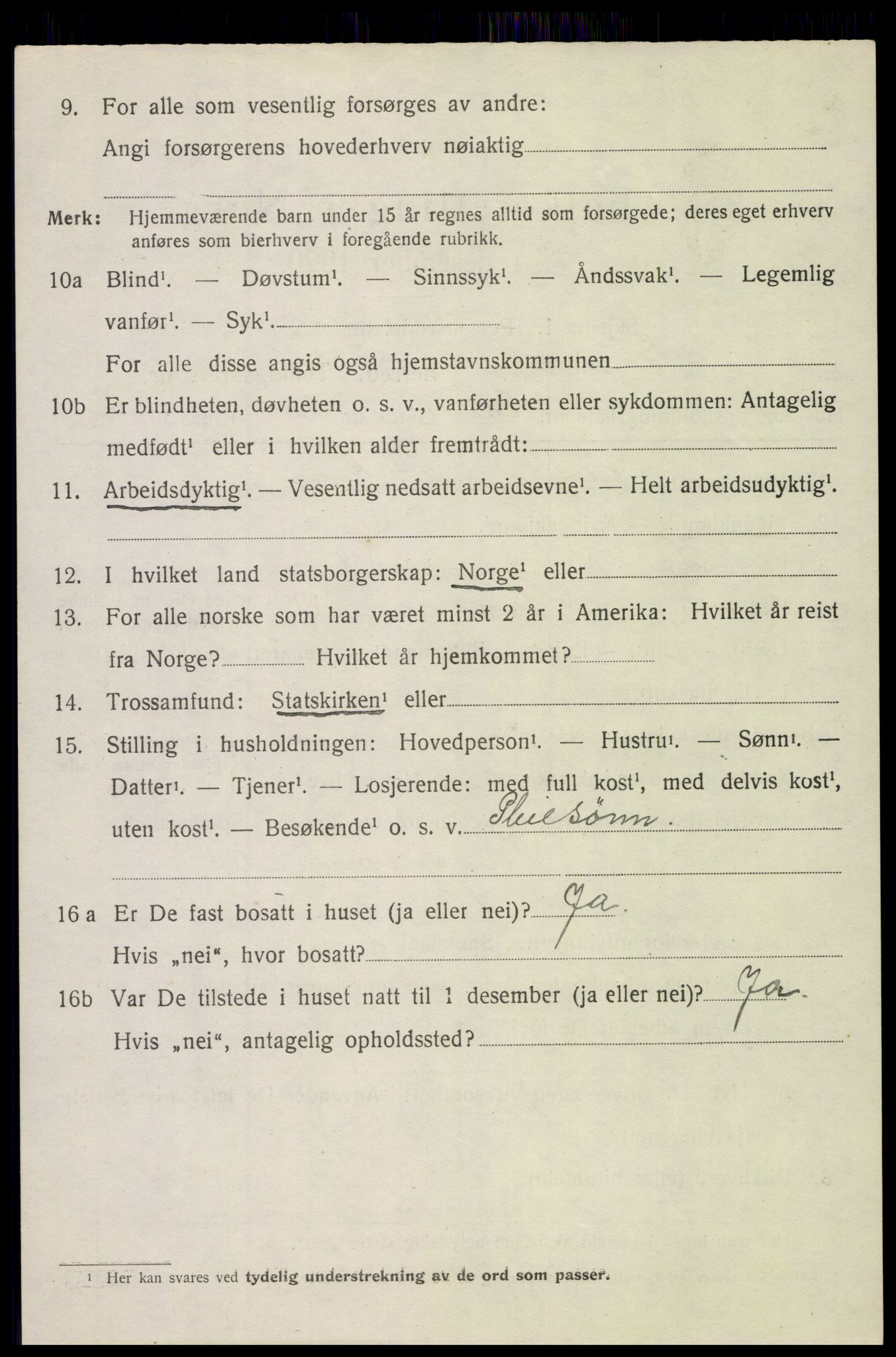 SAH, 1920 census for Gran, 1920, p. 10711