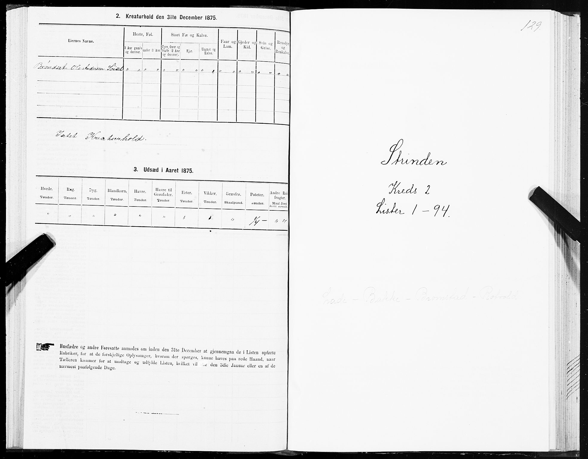 SAT, 1875 census for 1660P Strinda, 1875, p. 1129