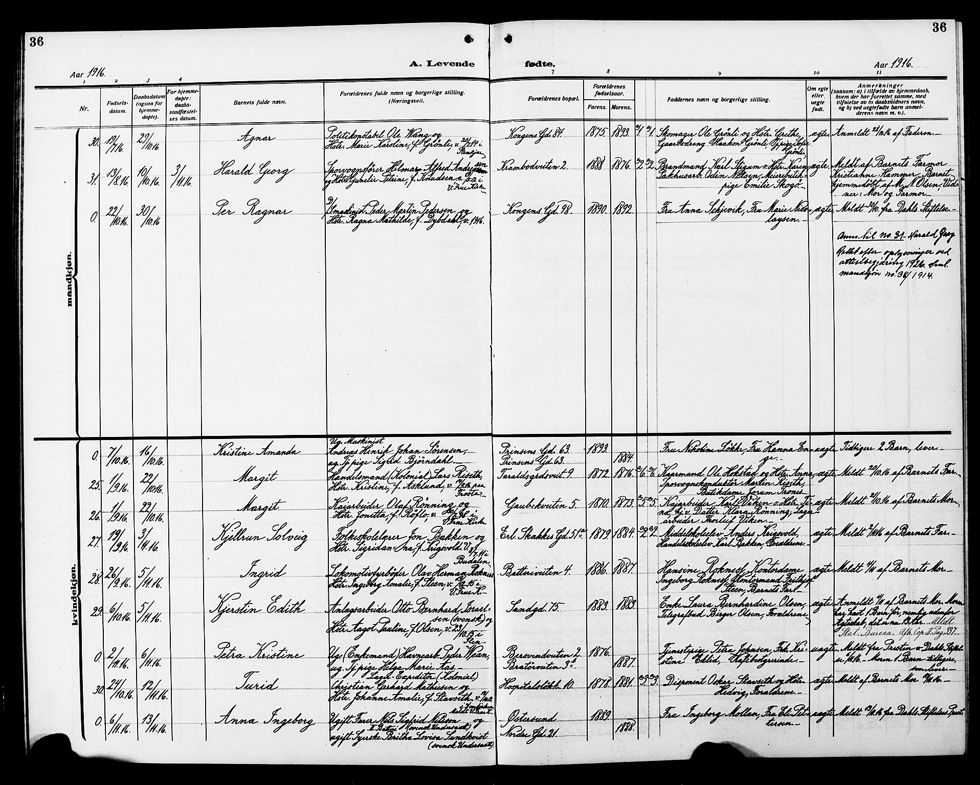 Ministerialprotokoller, klokkerbøker og fødselsregistre - Sør-Trøndelag, AV/SAT-A-1456/602/L0147: Parish register (copy) no. 602C15, 1911-1924, p. 36