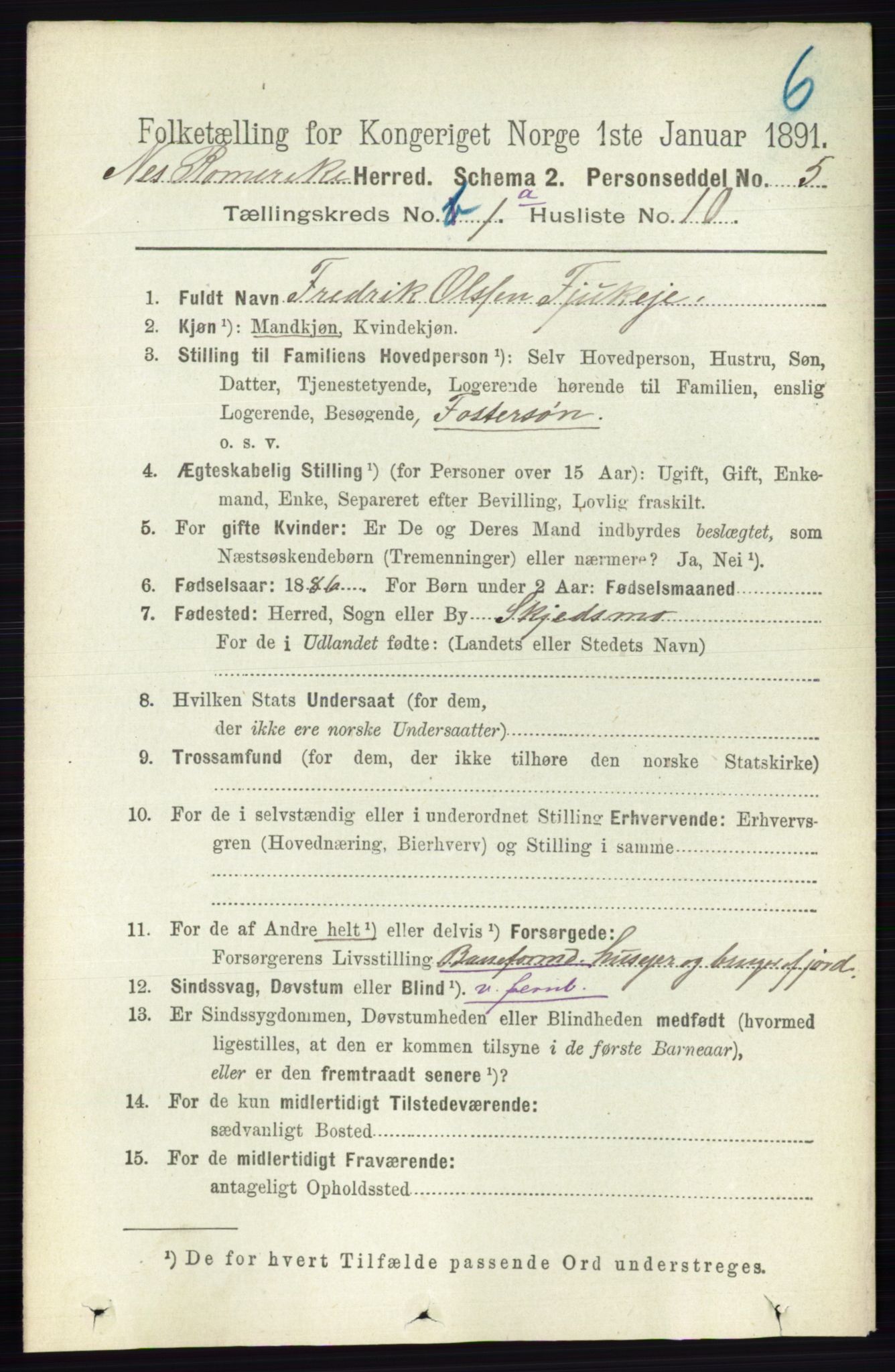 RA, 1891 census for 0236 Nes, 1891, p. 173