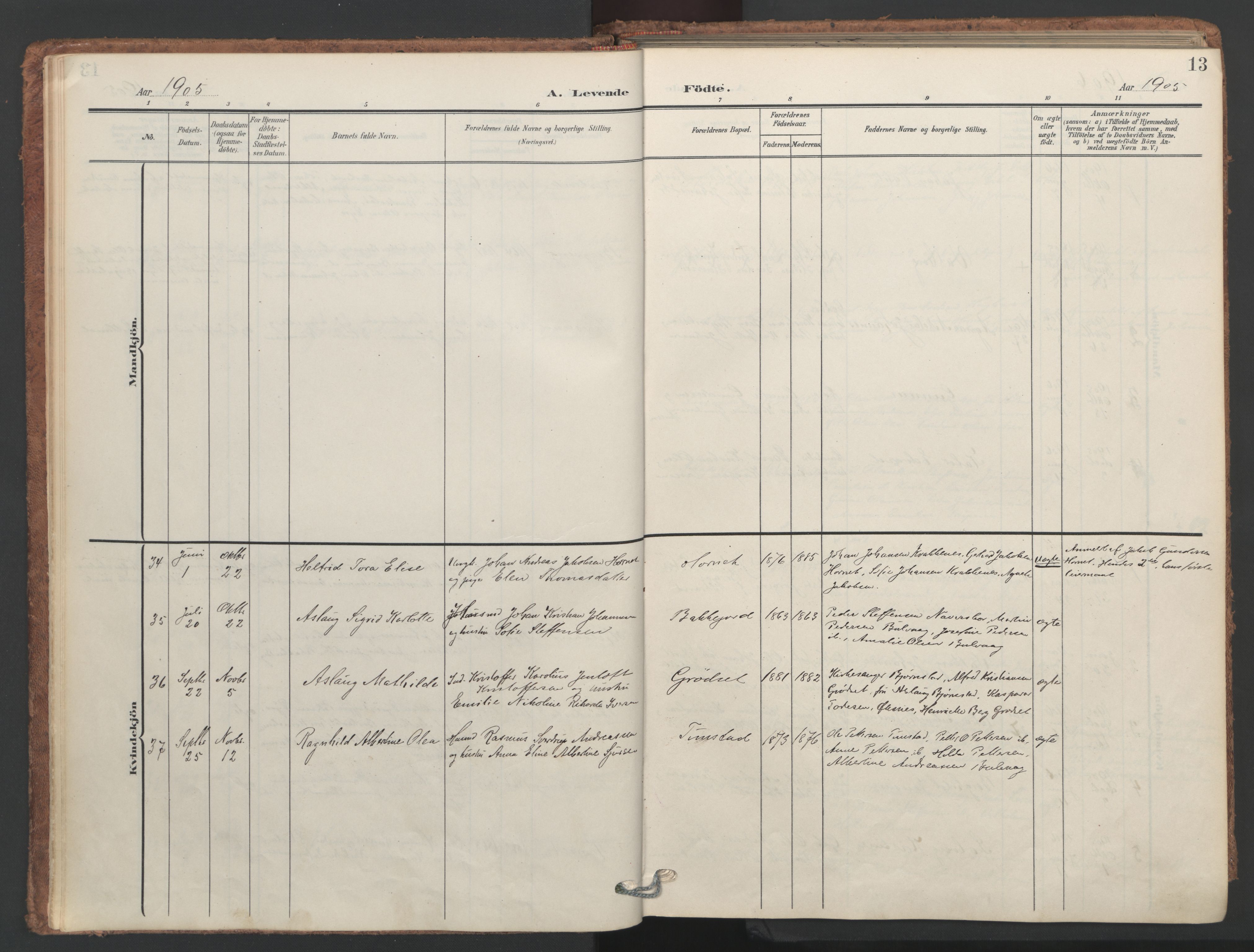 Ministerialprotokoller, klokkerbøker og fødselsregistre - Nordland, SAT/A-1459/893/L1339: Parish register (official) no. 893A11, 1904-1914, p. 13