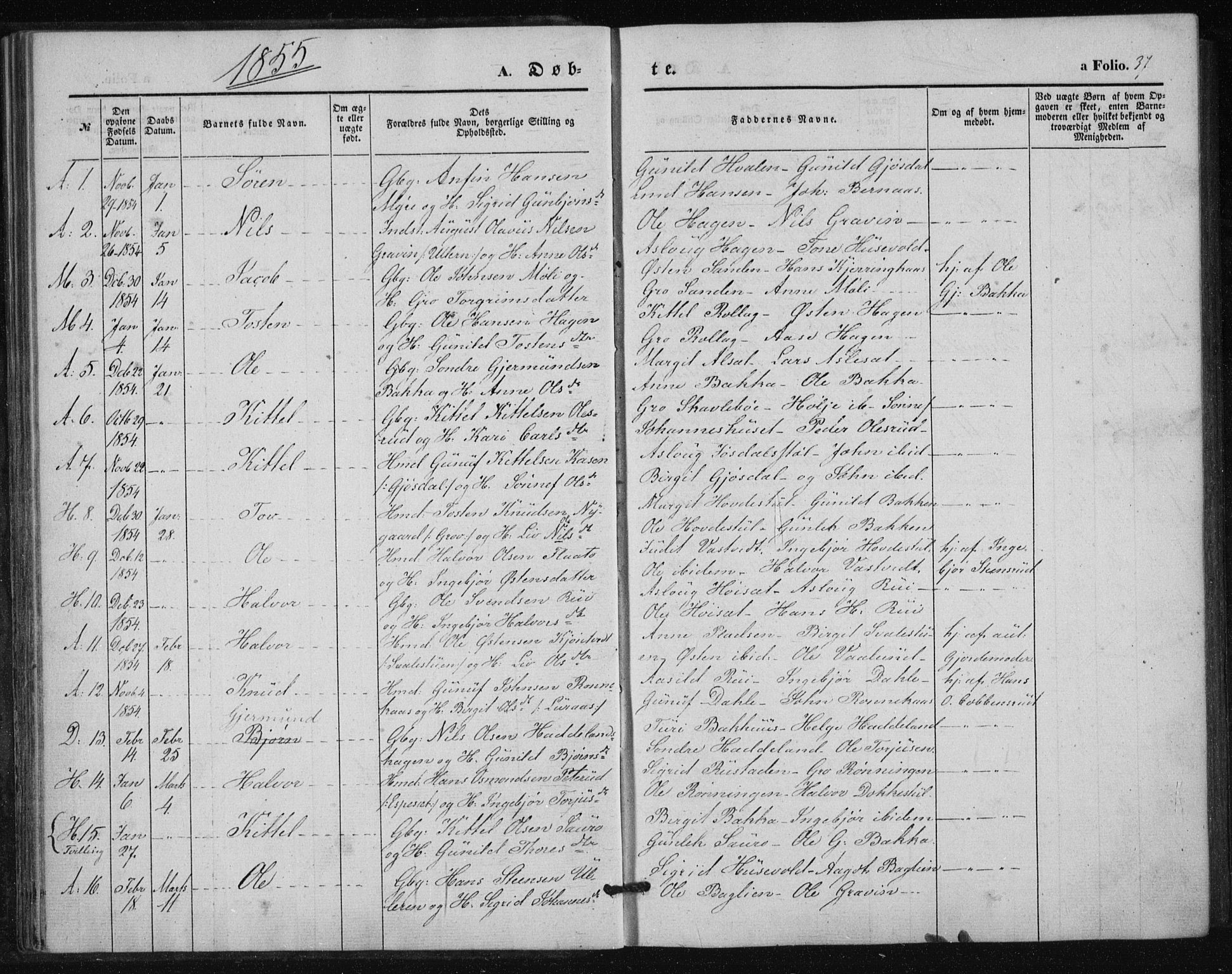 Tinn kirkebøker, SAKO/A-308/F/Fa/L0005: Parish register (official) no. I 5, 1844-1856, p. 37