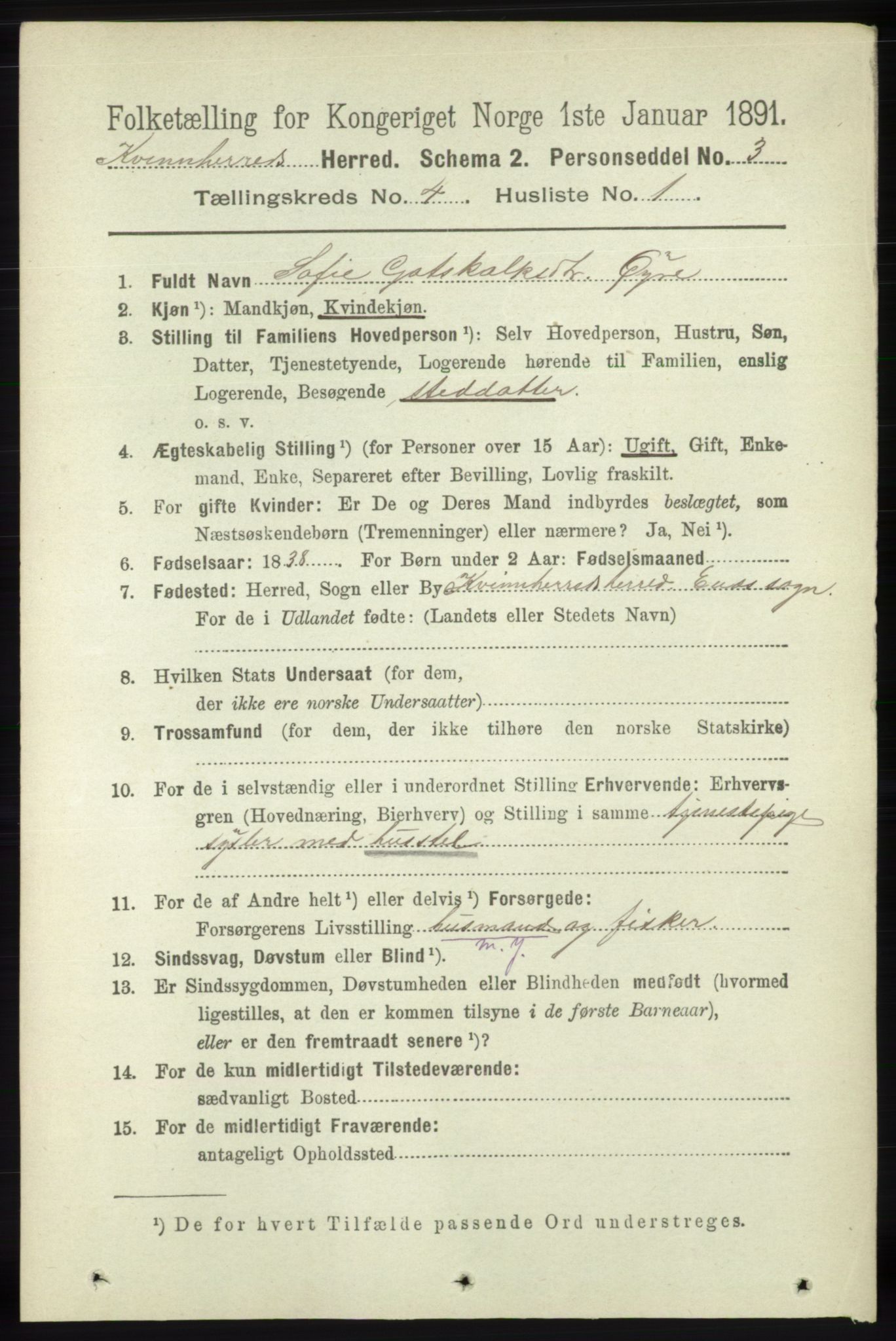 RA, 1891 census for 1224 Kvinnherad, 1891, p. 1386