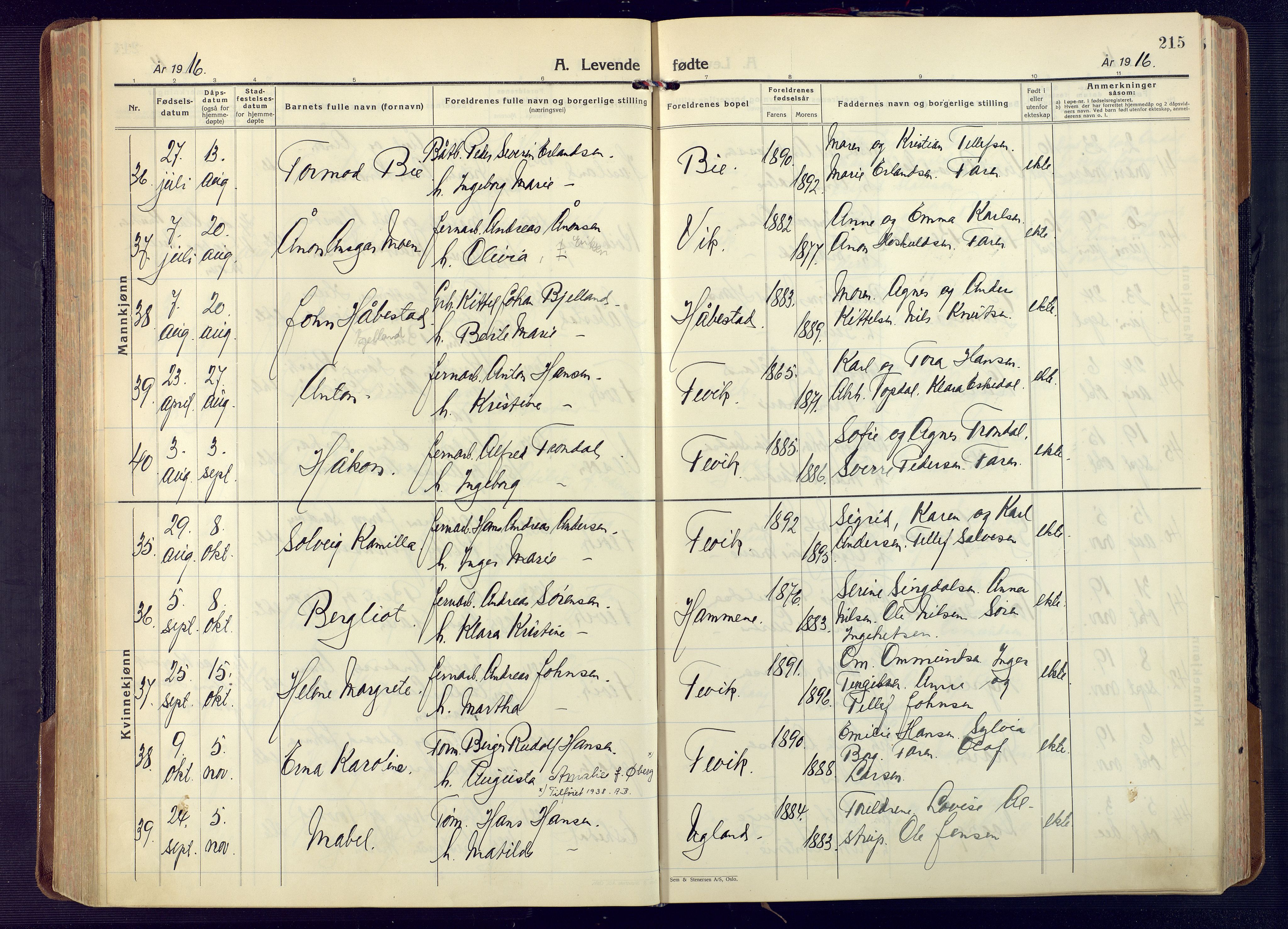 Fjære sokneprestkontor, AV/SAK-1111-0011/F/Fa/L0004: Parish register (official) no. A 4, 1902-1925, p. 215