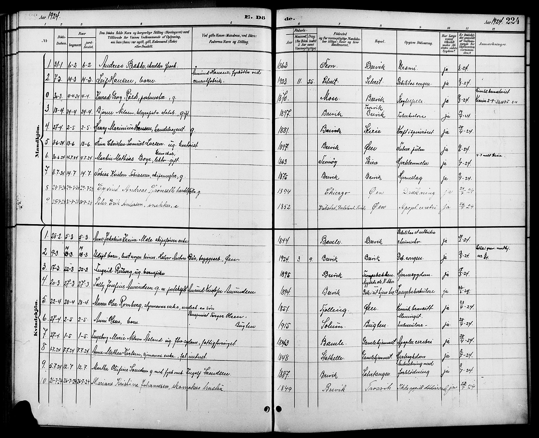 Brevik kirkebøker, SAKO/A-255/G/Ga/L0005: Parish register (copy) no. 5, 1901-1924, p. 224