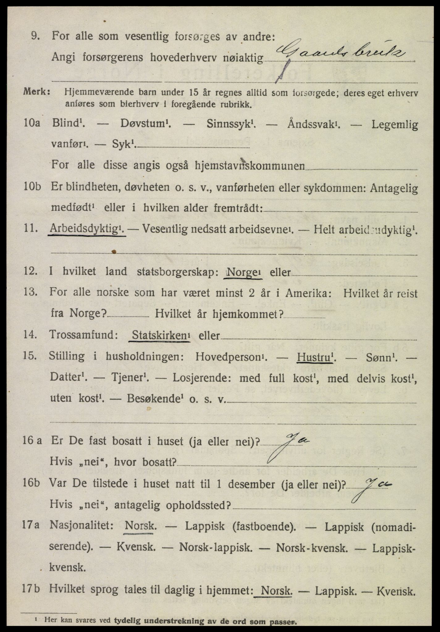 SAT, 1920 census for Selbu, 1920, p. 9875